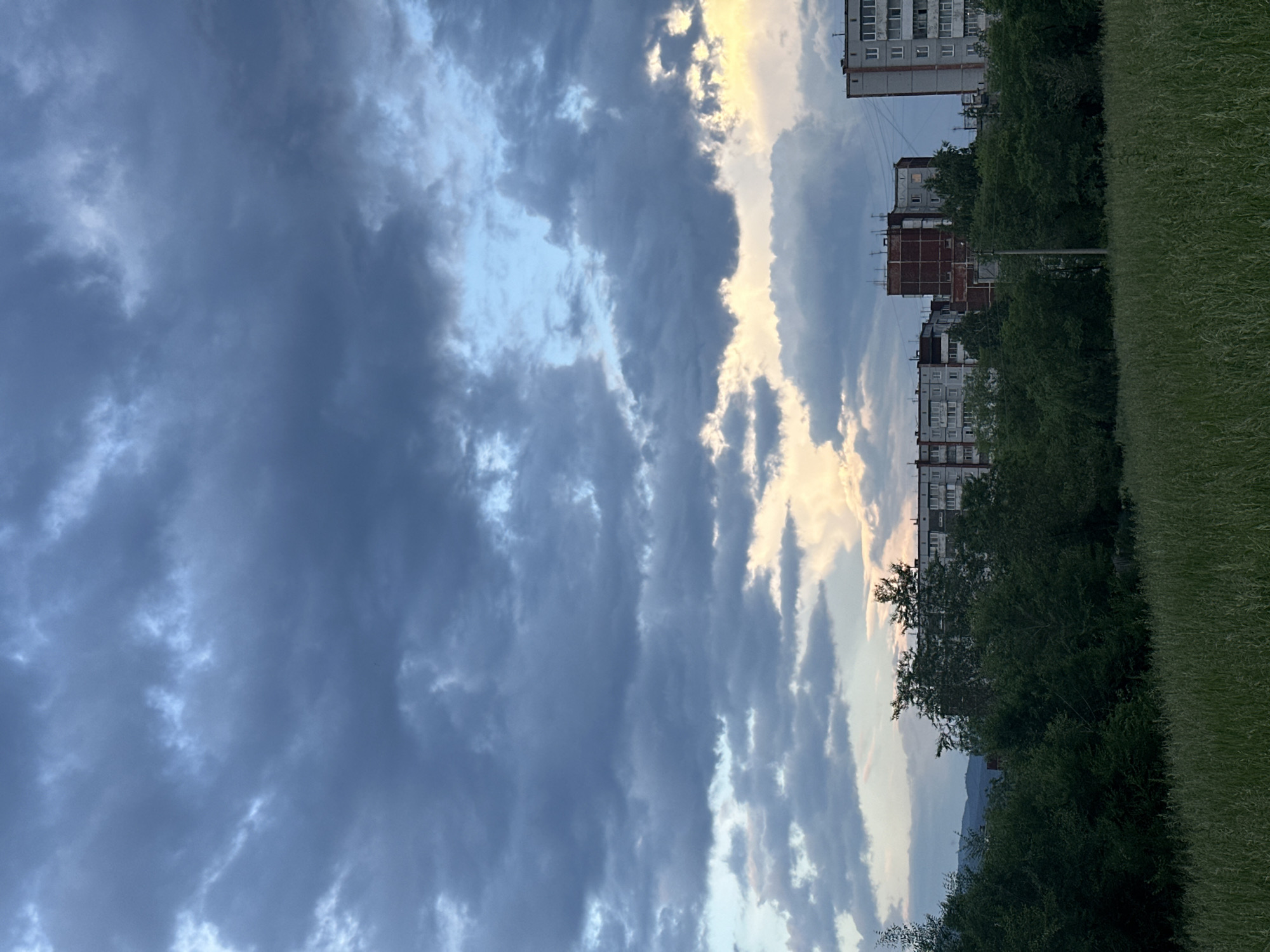 Maine Coon cat watches cloudy afternoon in Sayanogorsk