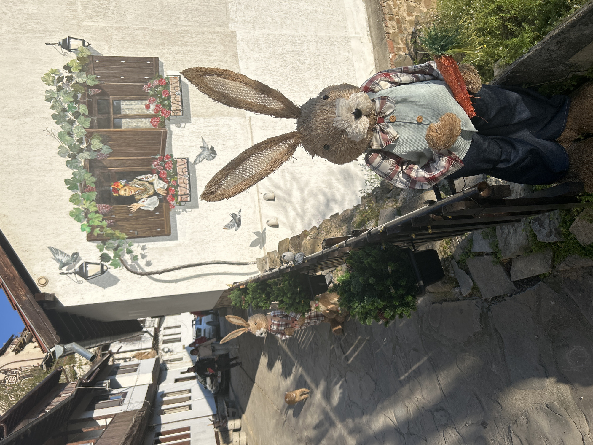 Tourist documents Veliko Tarnovo landmarks and river views