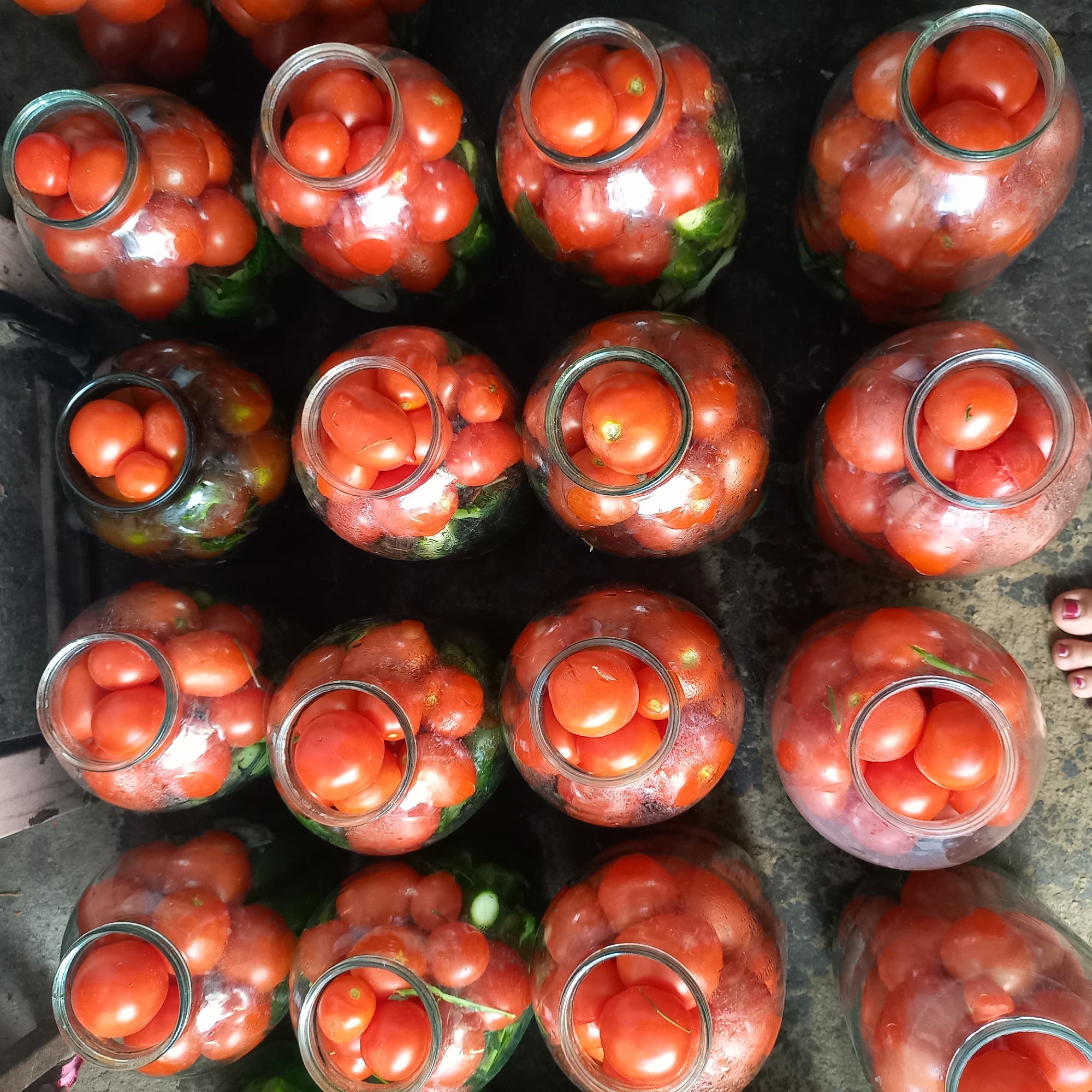 Late-summer harvest day at home in Klyntsi, Ukraine.