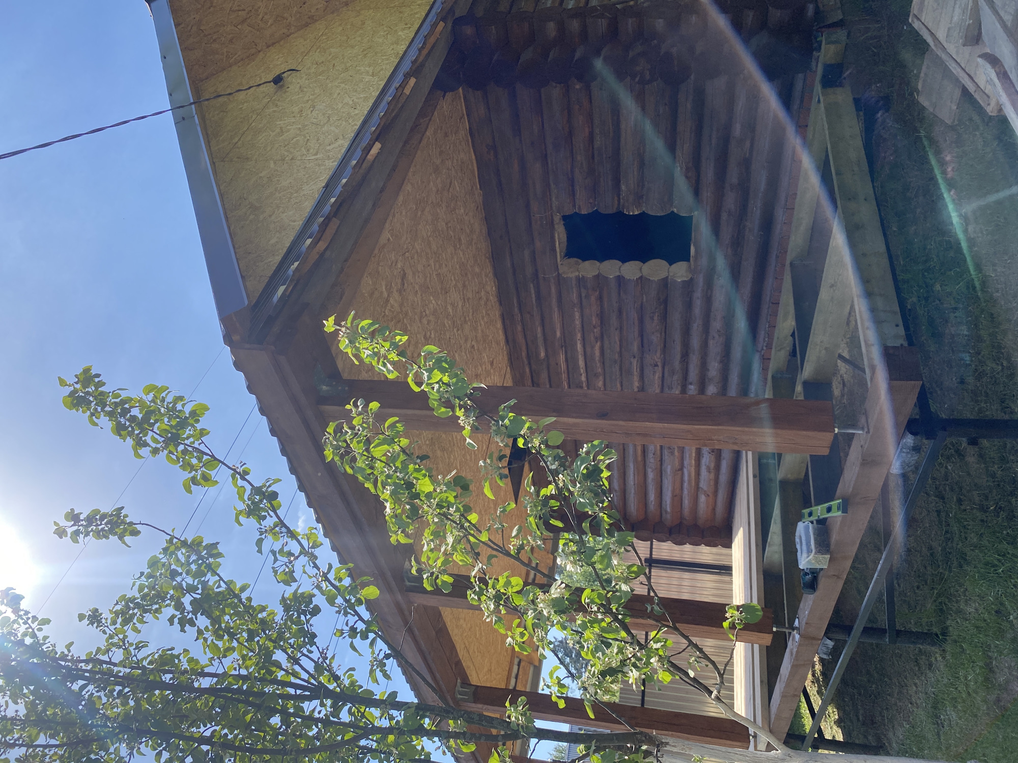 Family activities documented around Chaikovsky construction site