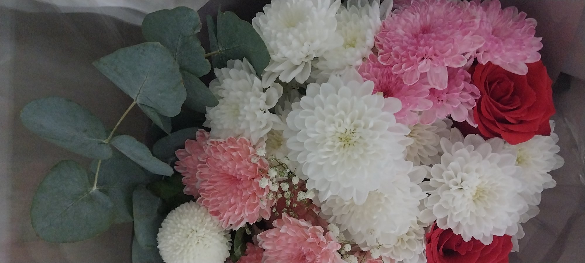 Flowers received, unwrapped, and enjoyed alongside random everyday snaps