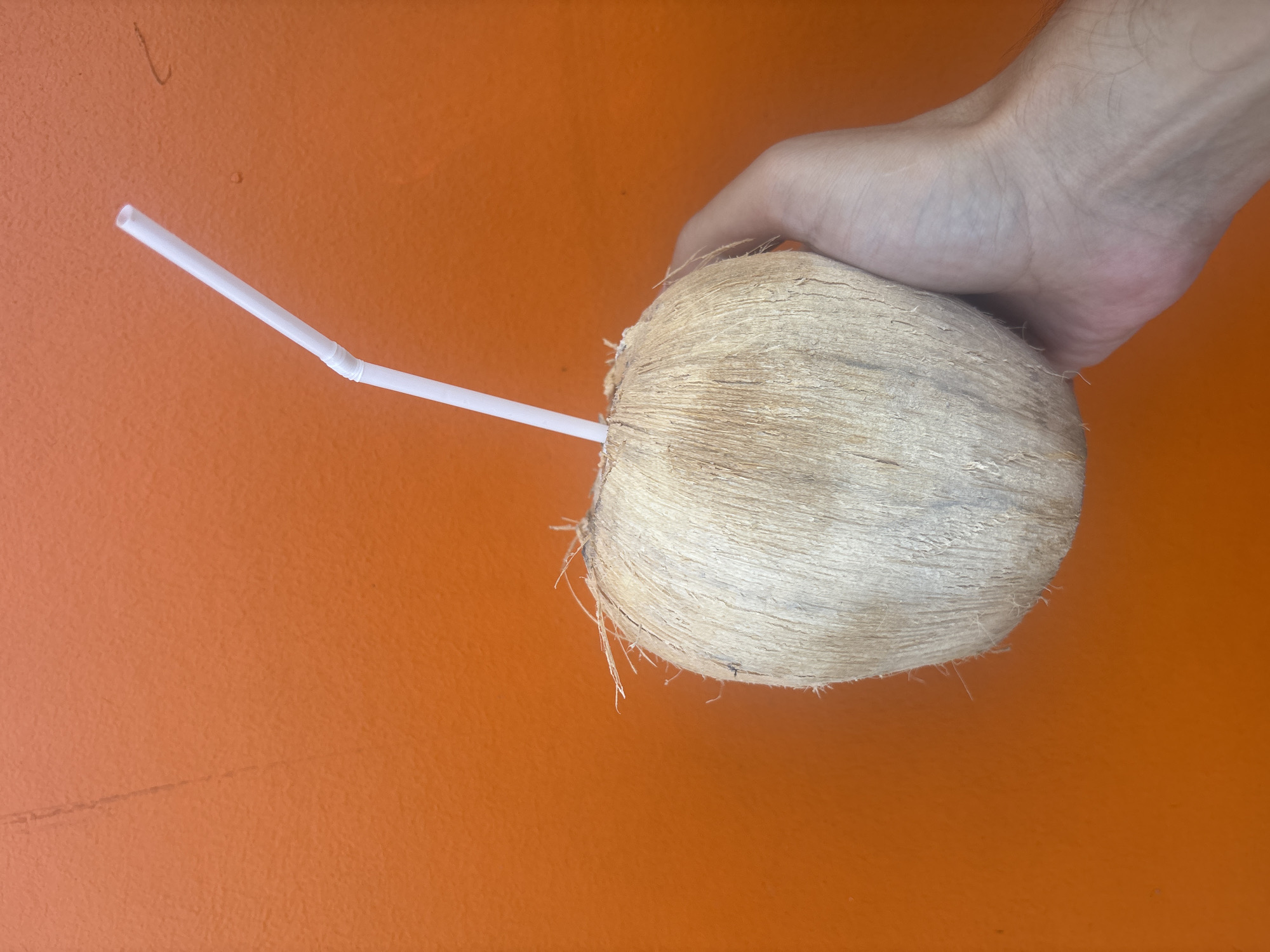 Witness captures coconut drink, coastal view, metal toy moments