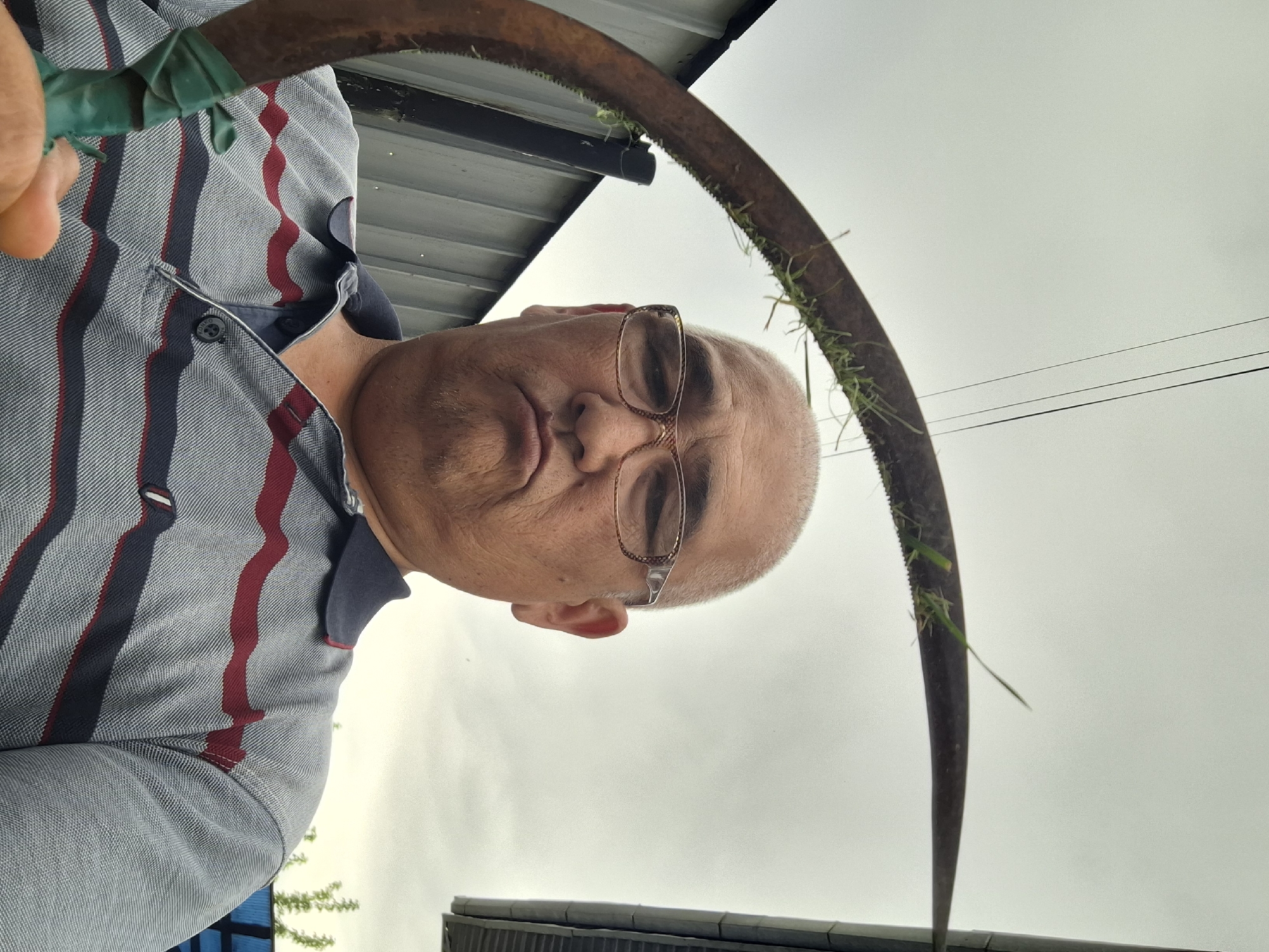 Morning wander around an Almaty homestead, mid-June 2026