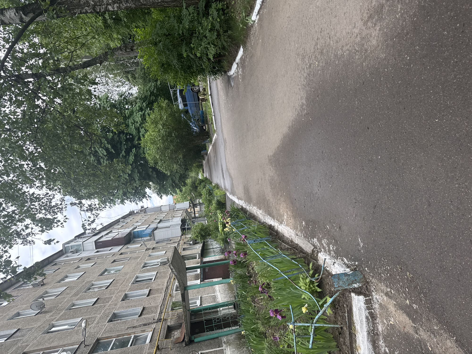 Witness captures ordinary neighborhood moments during overcast afternoon