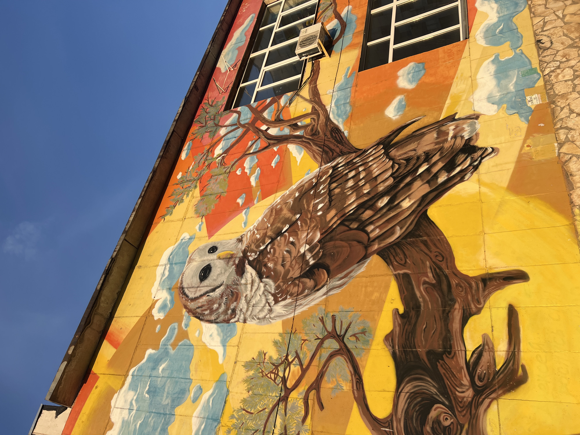 Owl mural spotted on building in Ufa, Russia
