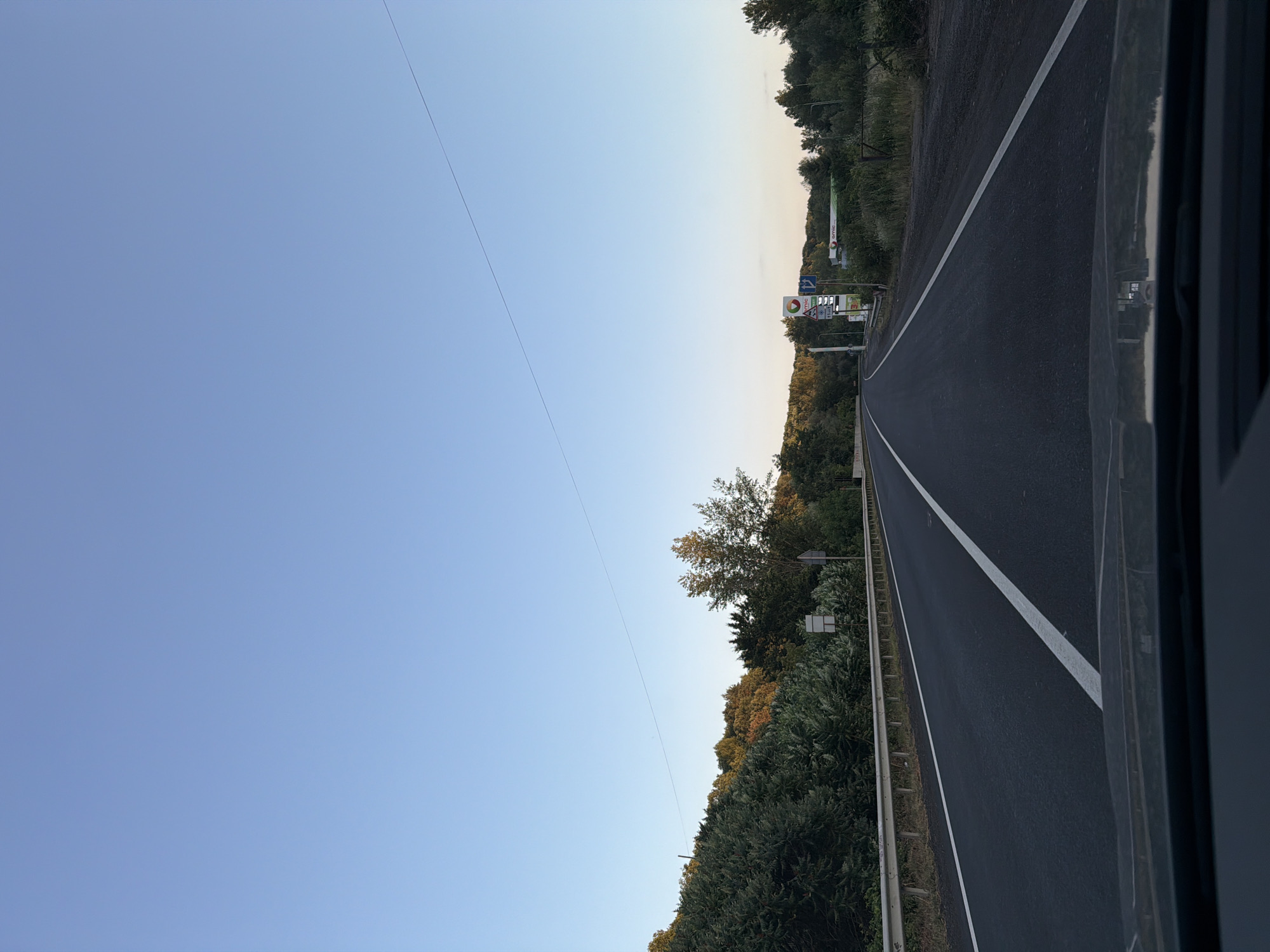 Tree-lined road stretches through Velyki Lazy, Ukraine