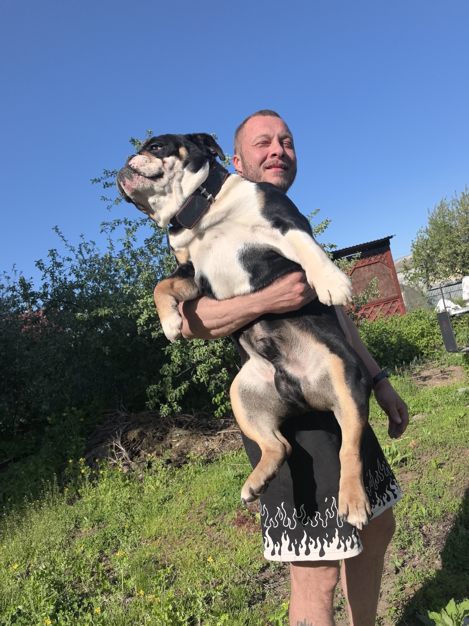 People with bulldogs gather outdoors in Noviy, Russia