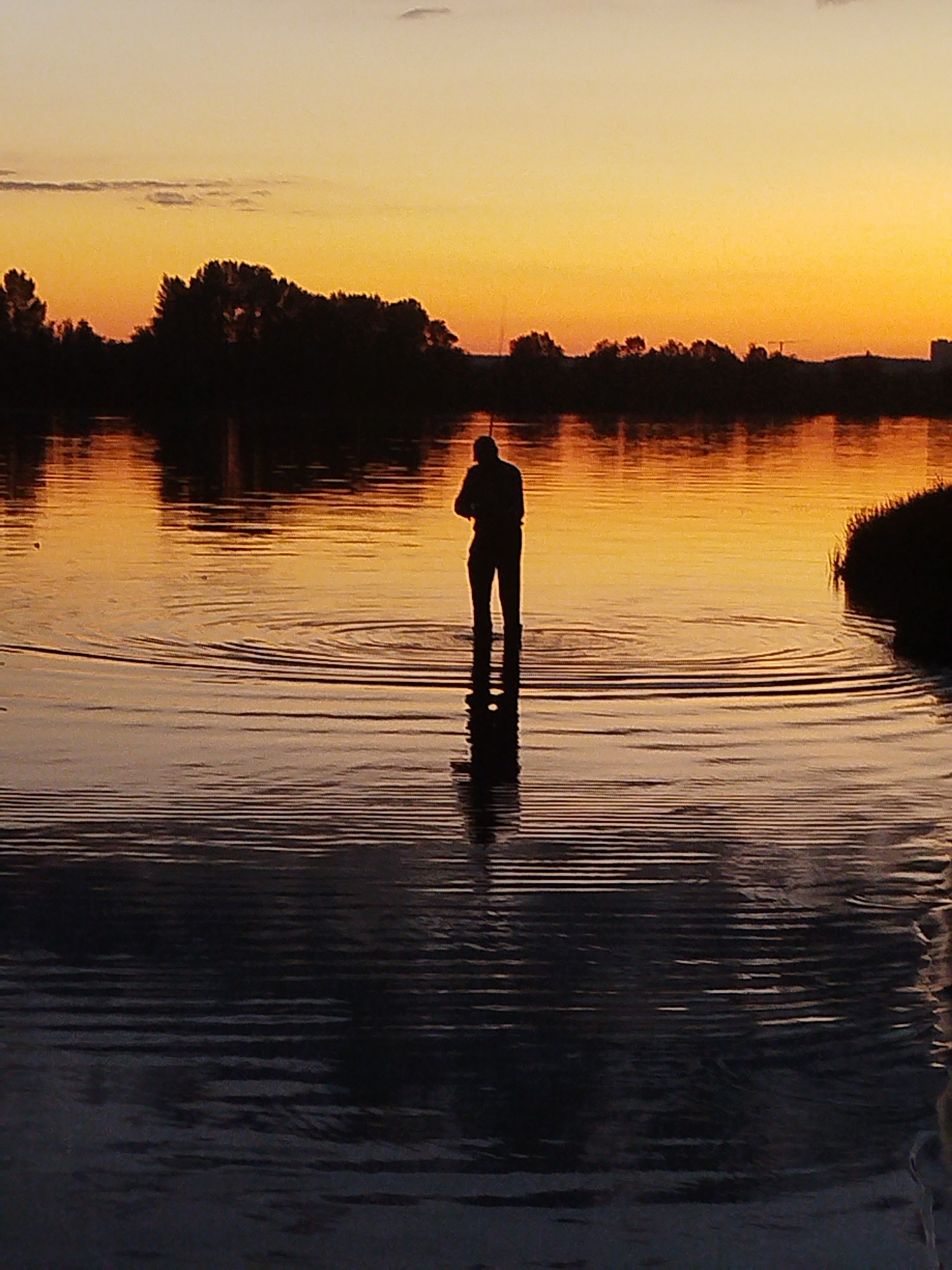 Dusk fishing and wildlife along a calm waterway