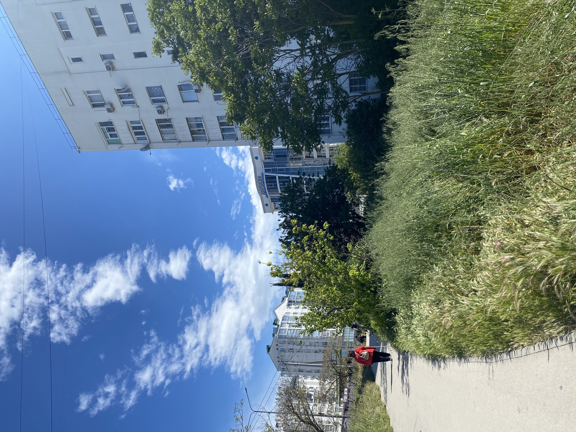 Sevastopol resident documents spring afternoon walk with flowers and selfies