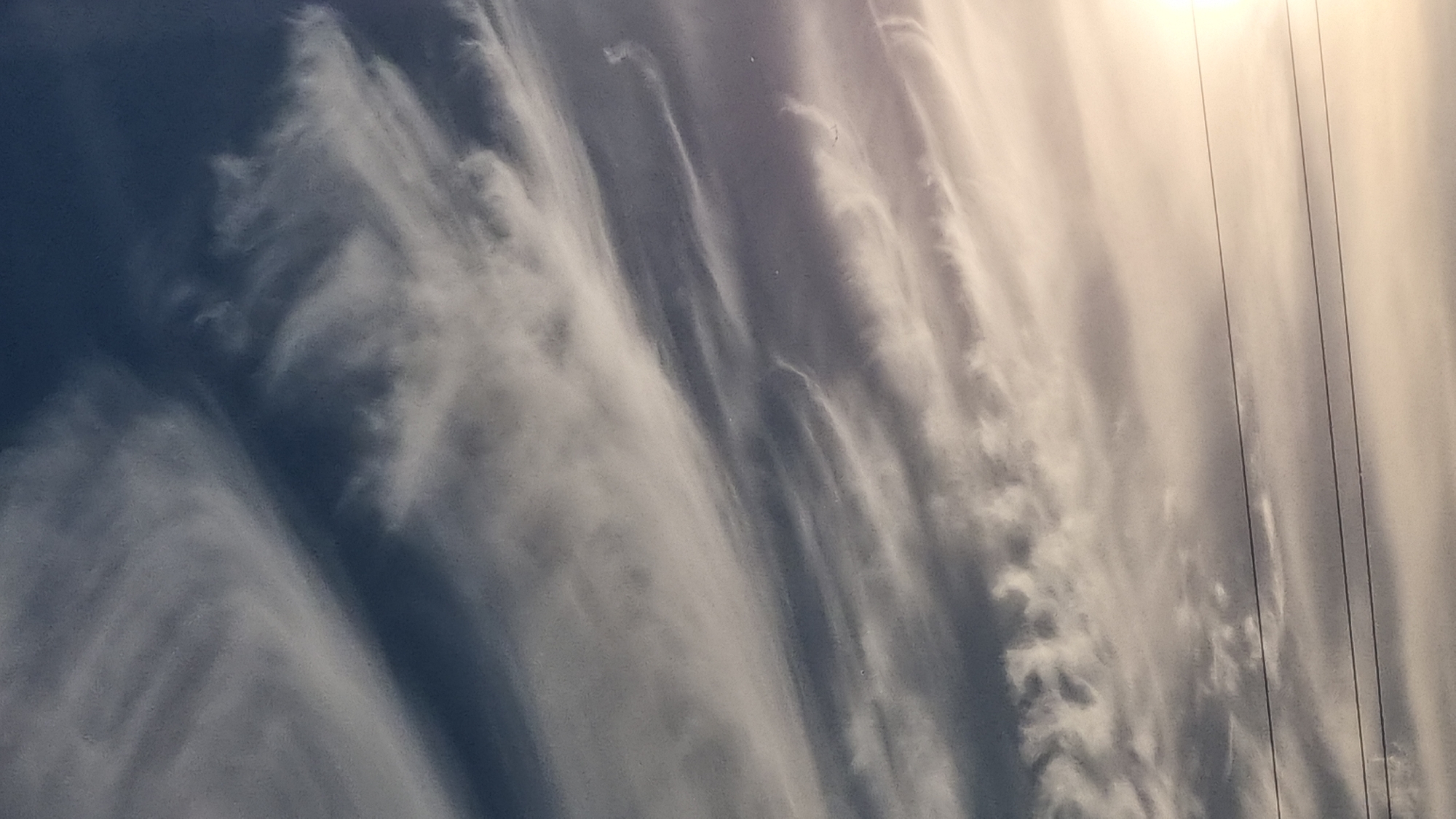 Crab spiders, cirrus clouds, and golden hour in Vysokoe