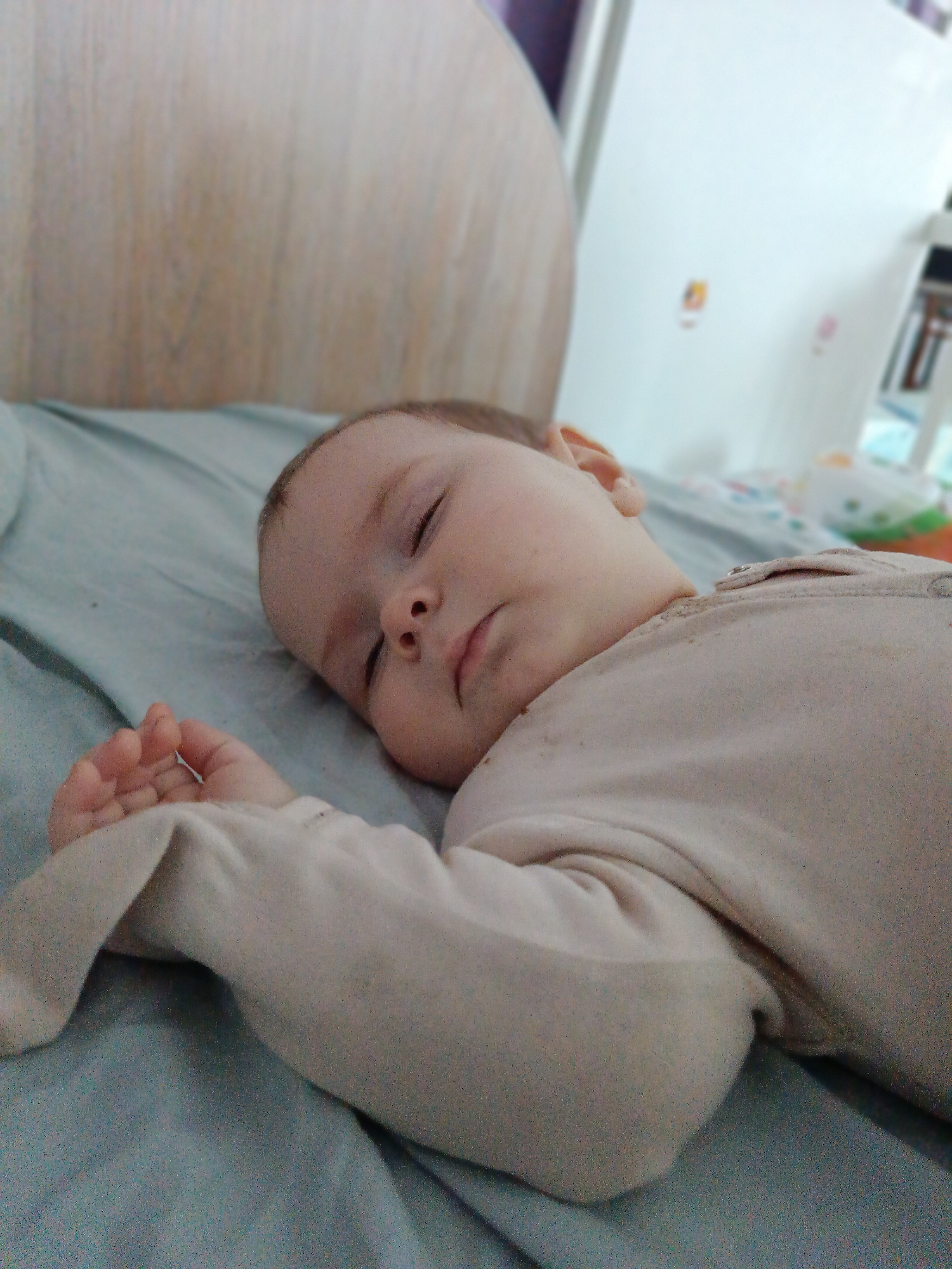 Domestic life moments captured in Rusalevka home with pets