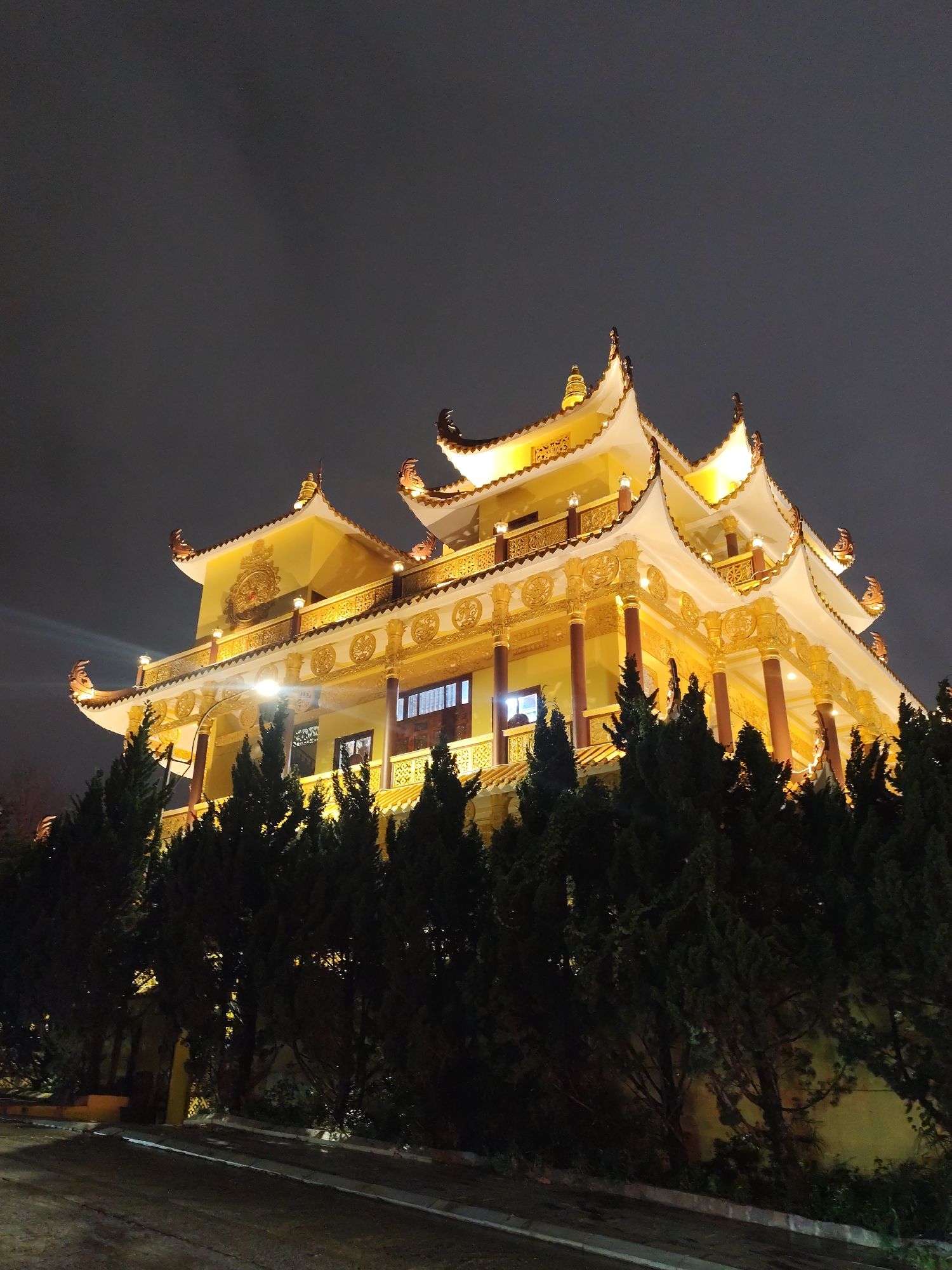 Tourist documents Da Lat's gardens and illuminated architecture