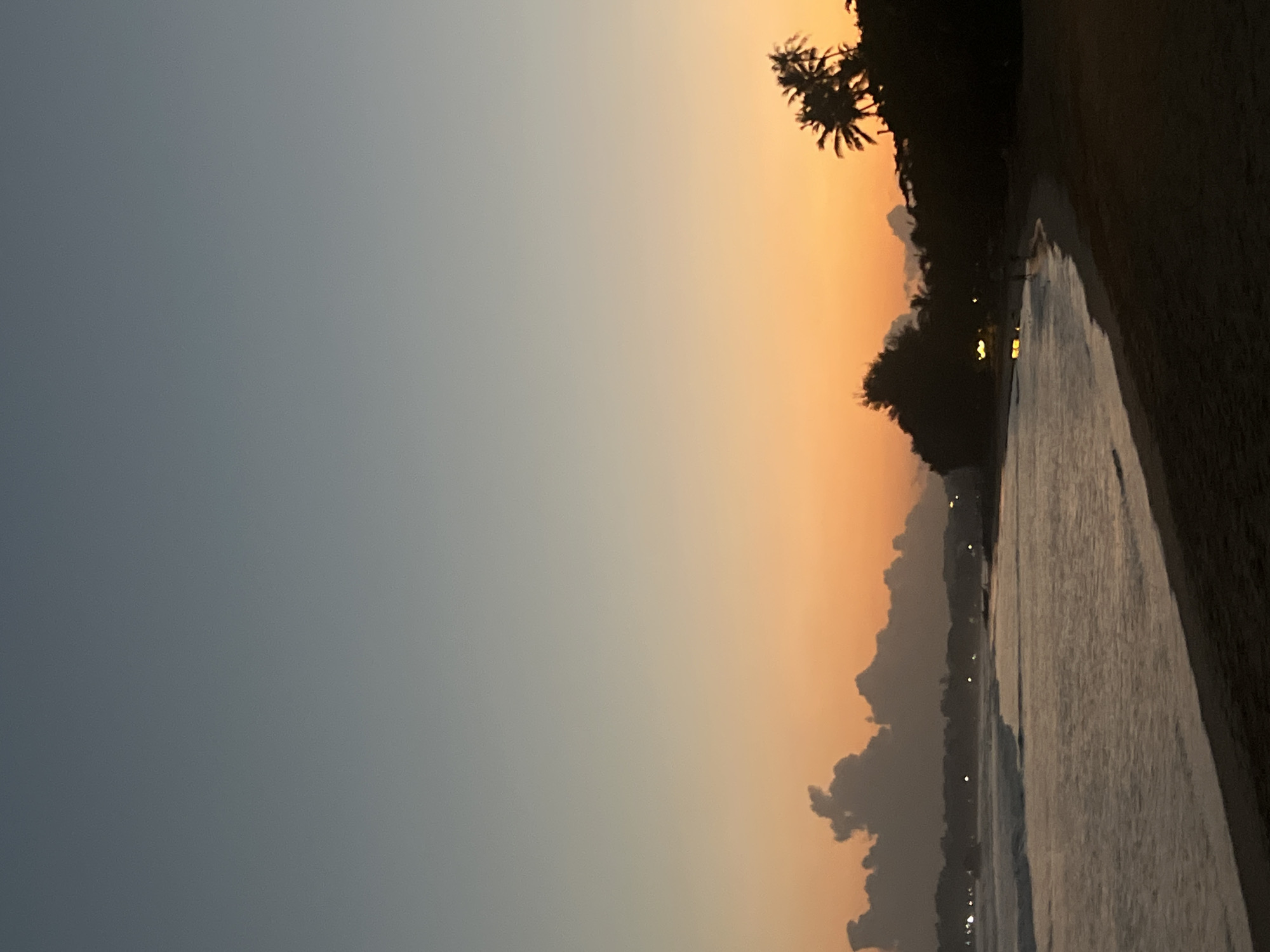 Sunset and palm trees on a Sri Lanka beach