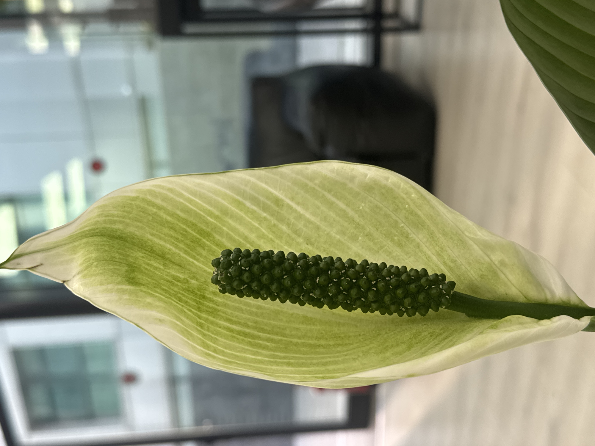 Indoor scenes documented in Tel Aviv building