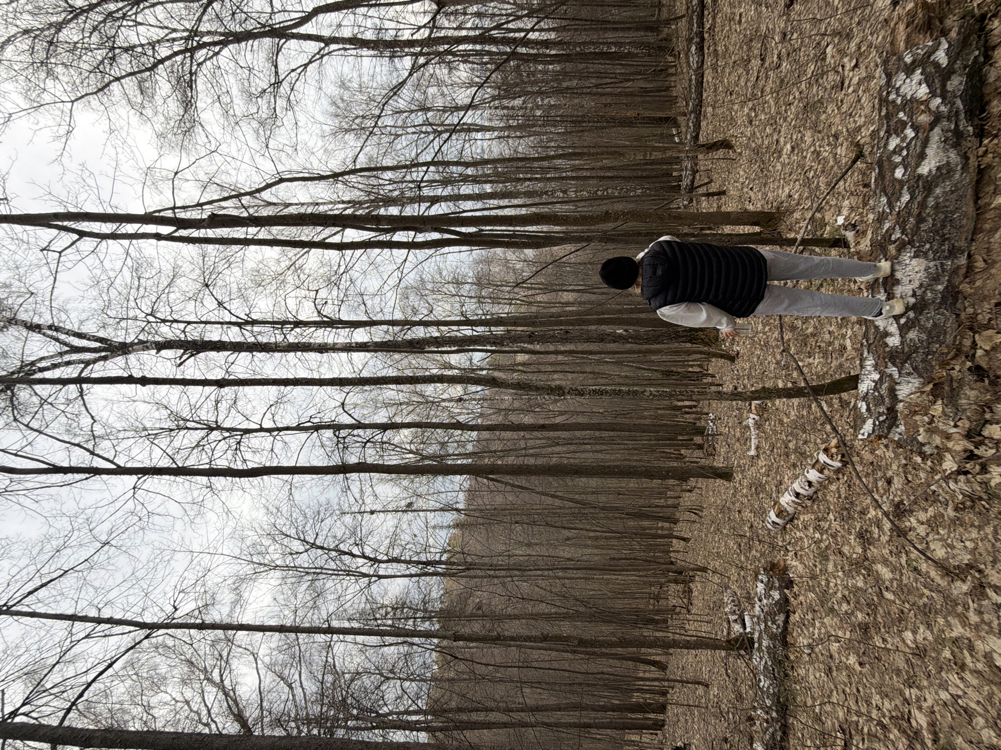 Person spotted in forest near Novyi, Russia