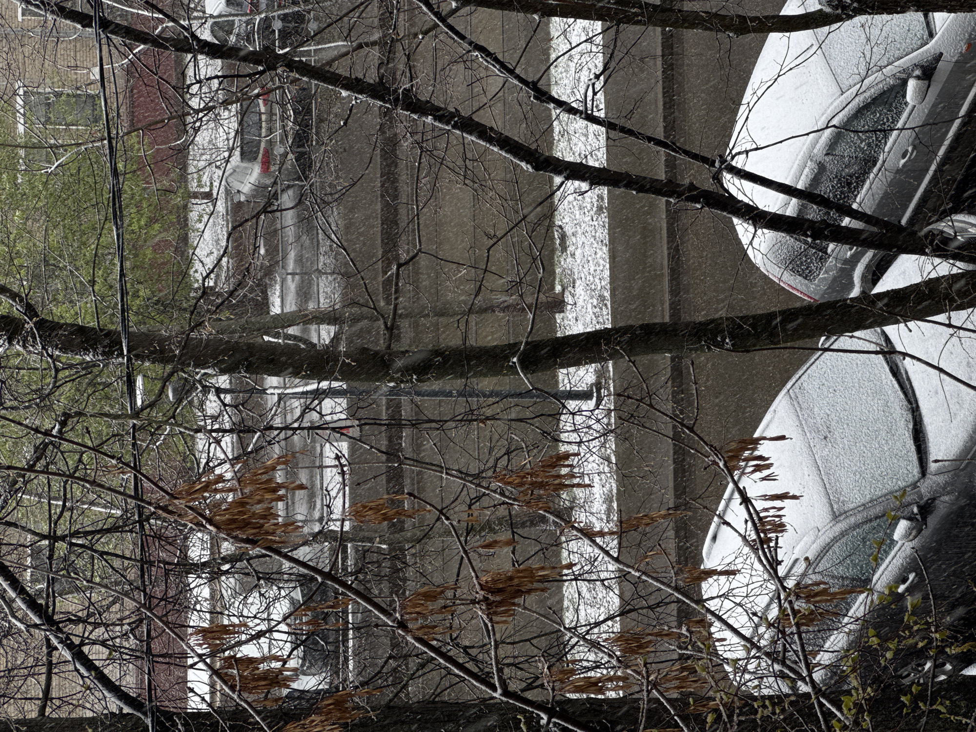Late spring snowfall blankets Khimki, Russia in April