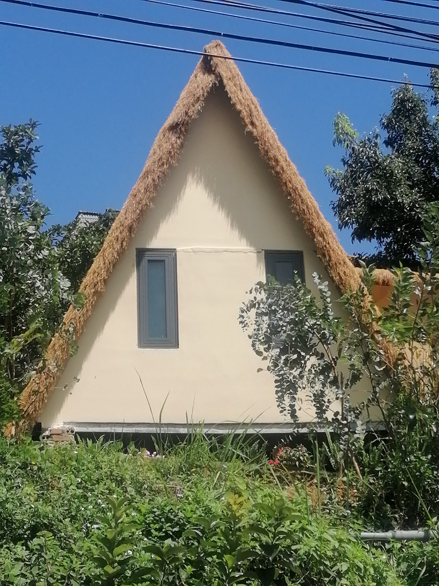 Da Lat's gardens, cafes, and architecture on a July morning