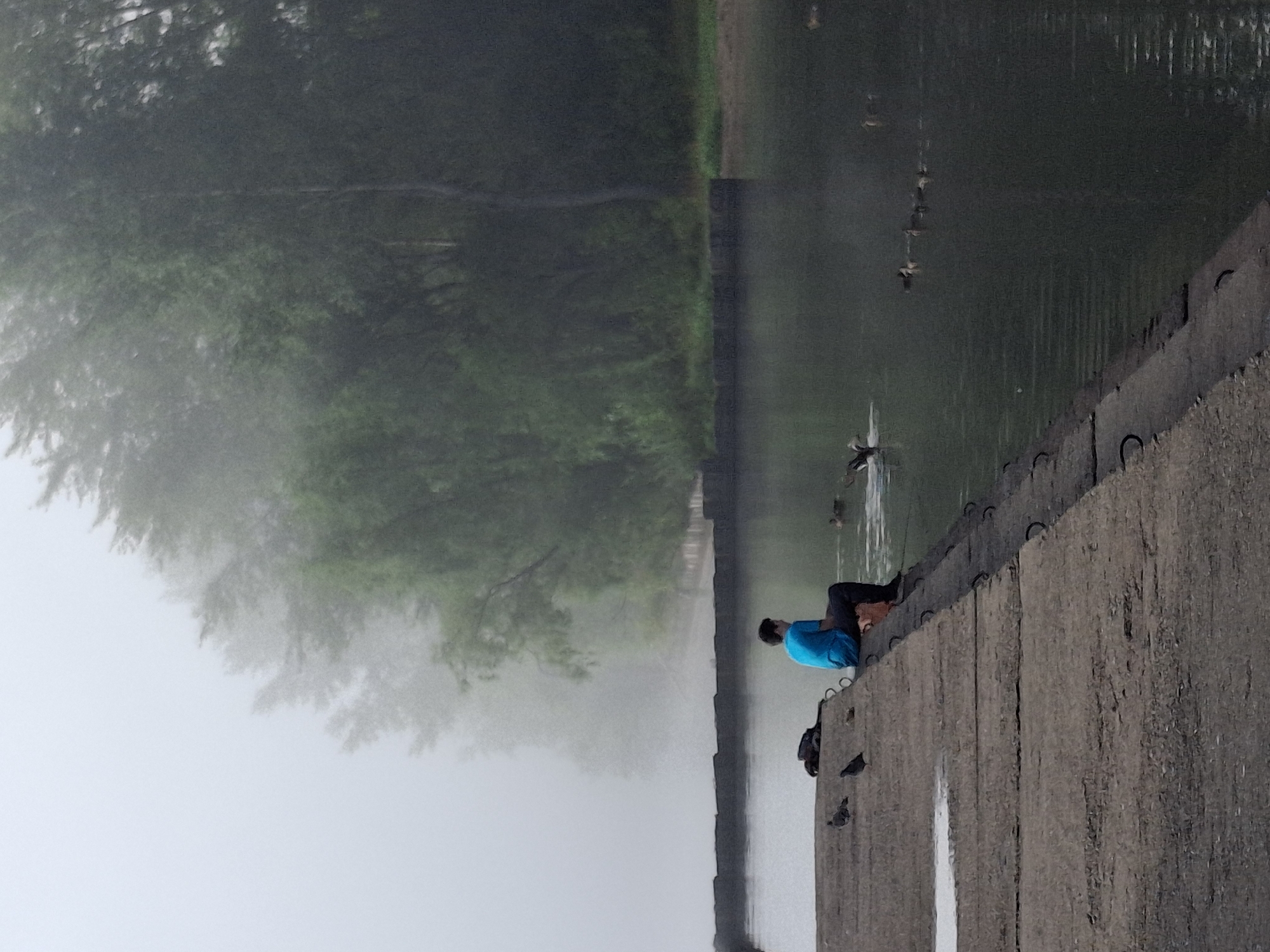 Foggy morning at a Chaikovsky waterfront, ducks and stillness