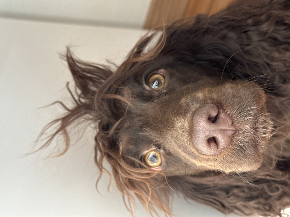 Indoor portraits captured in Wealden area Tuesday morning