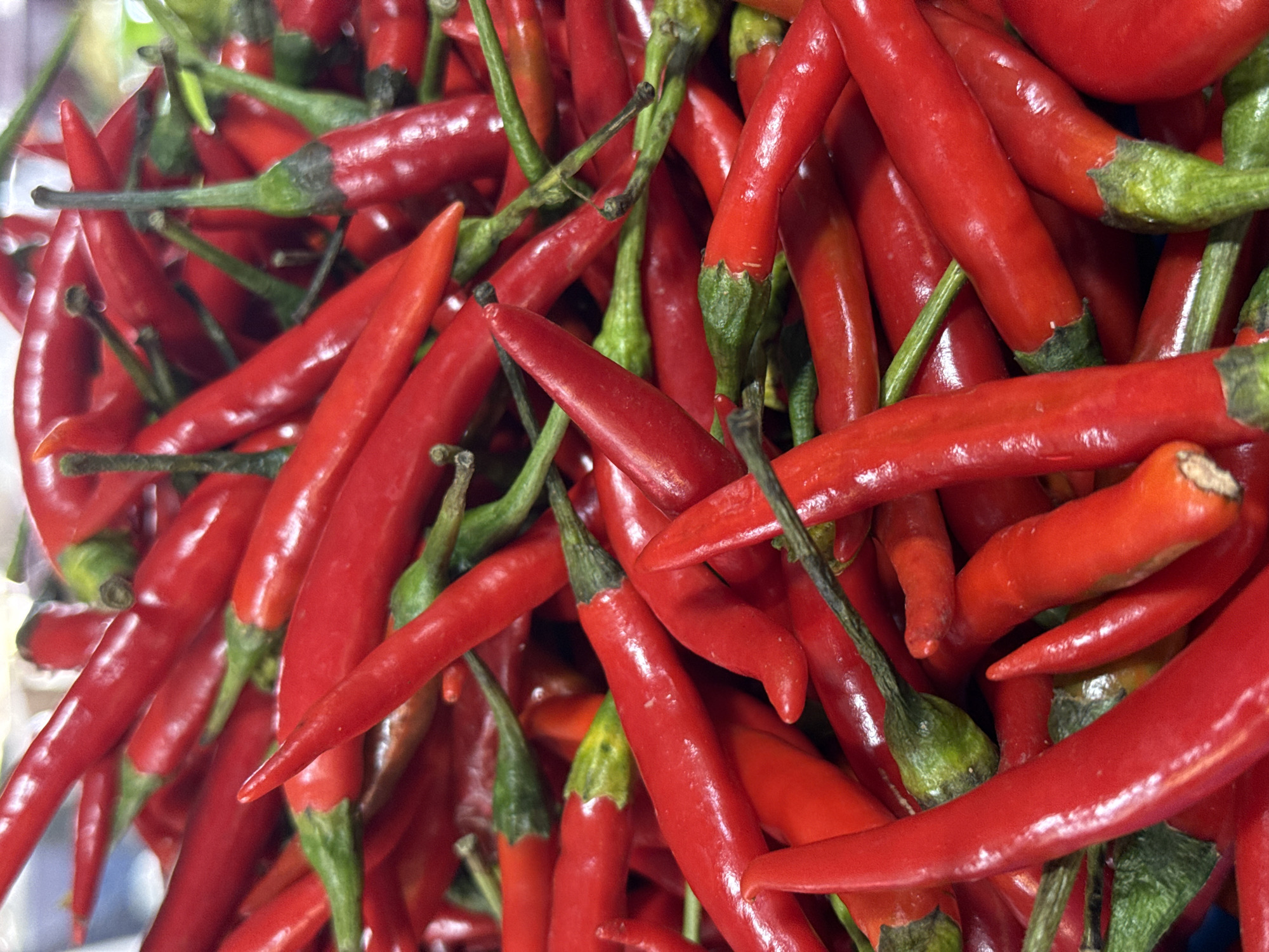 Fresh chili peppers piled high at a Wichit produce stall