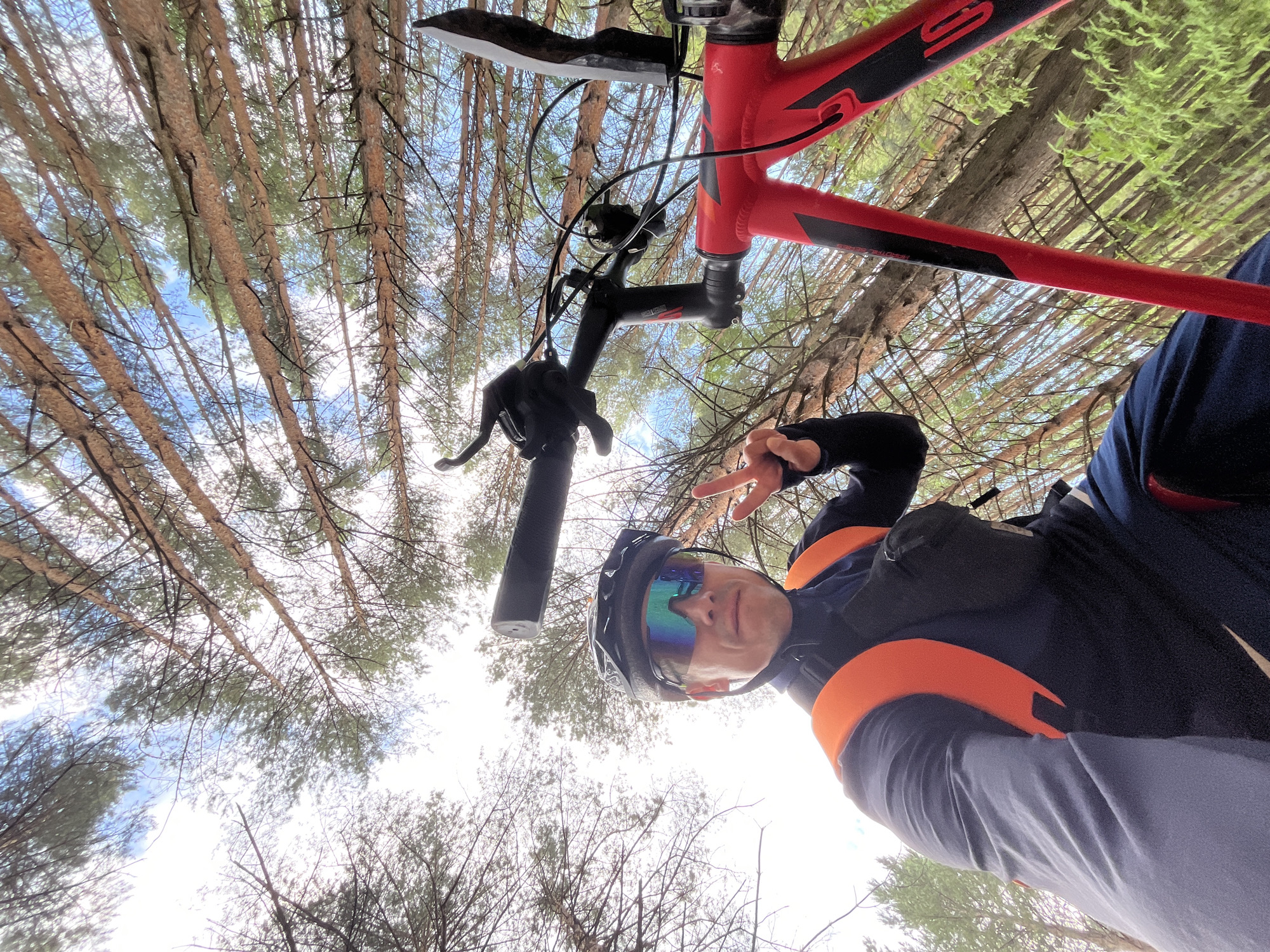Cyclist documents forest ride through pine trails near Chaikovsky
