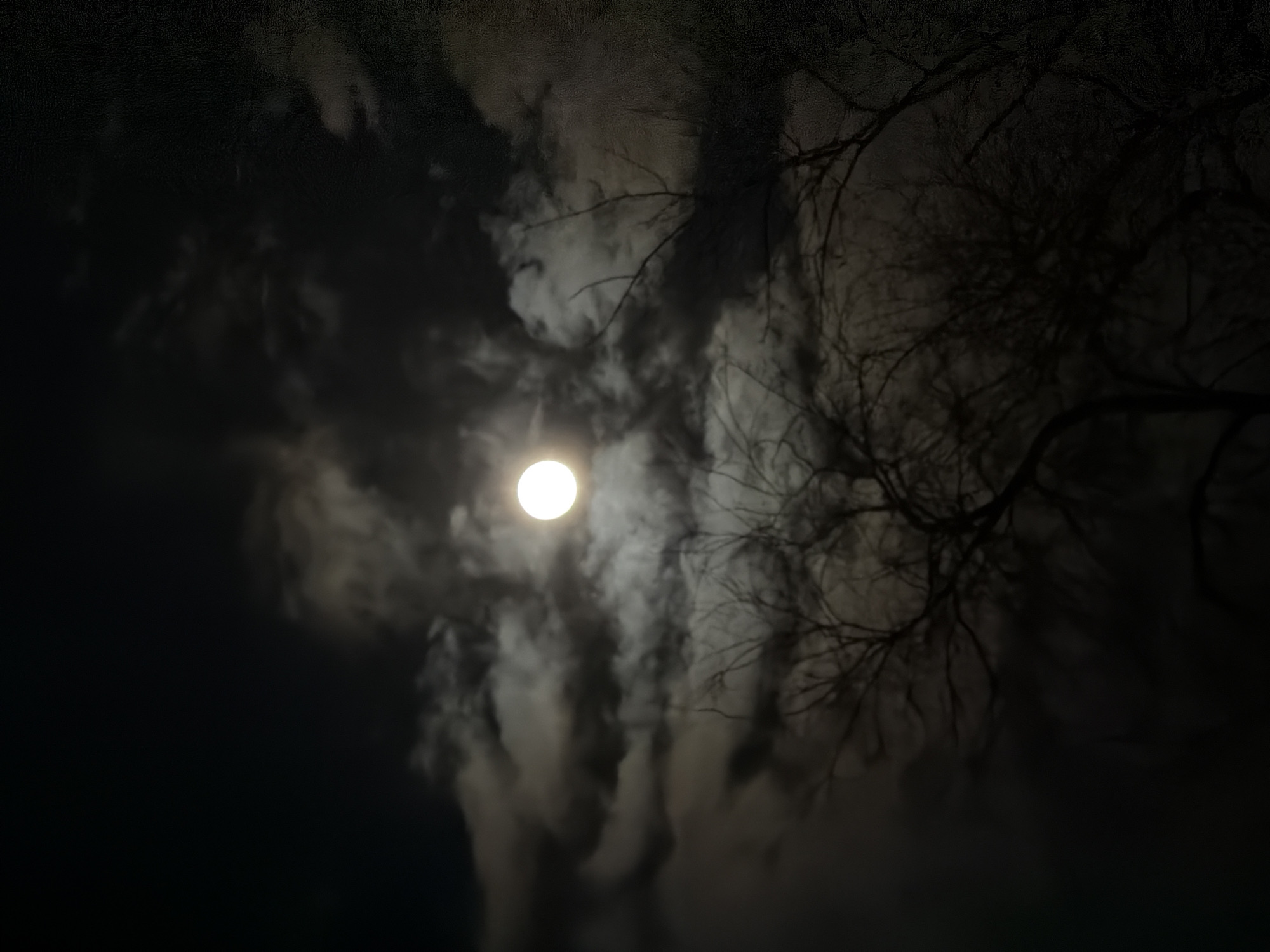 Nighttime scenes captured in Voronezh featuring moon and shopping mall