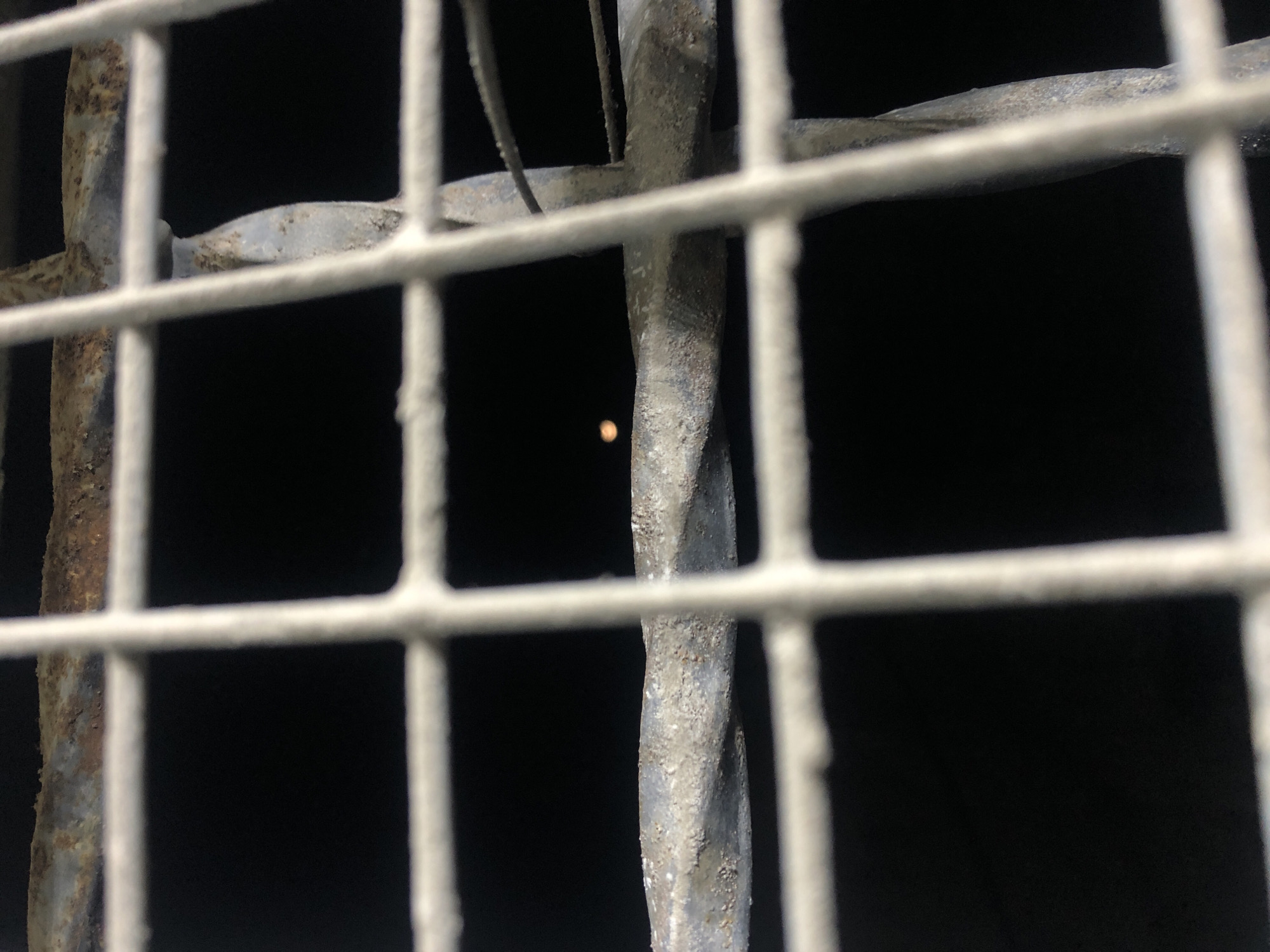 Metal grid photographed in close detail in Juan Griego