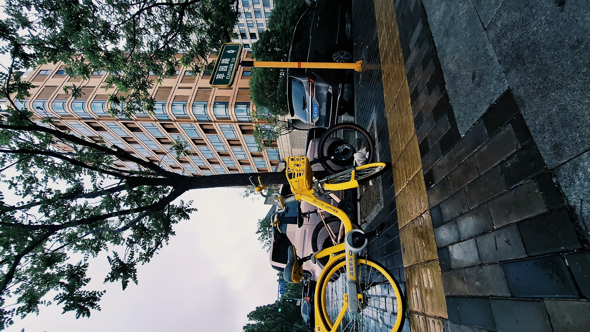 Yellow bicycle spotted against signpost in Beijing's Chaoyang District