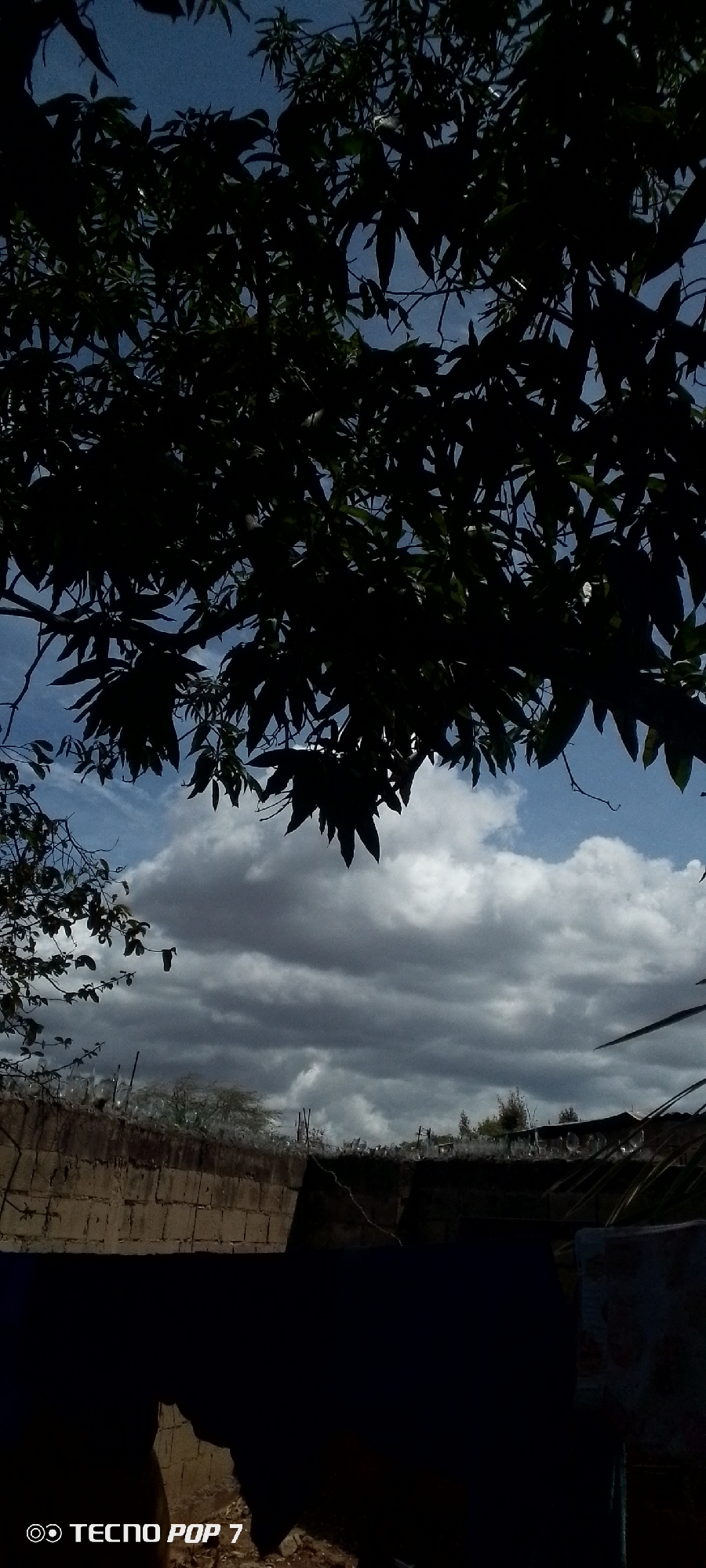 Photographer documents trees, sky, walls in Altagracia, Venezuela