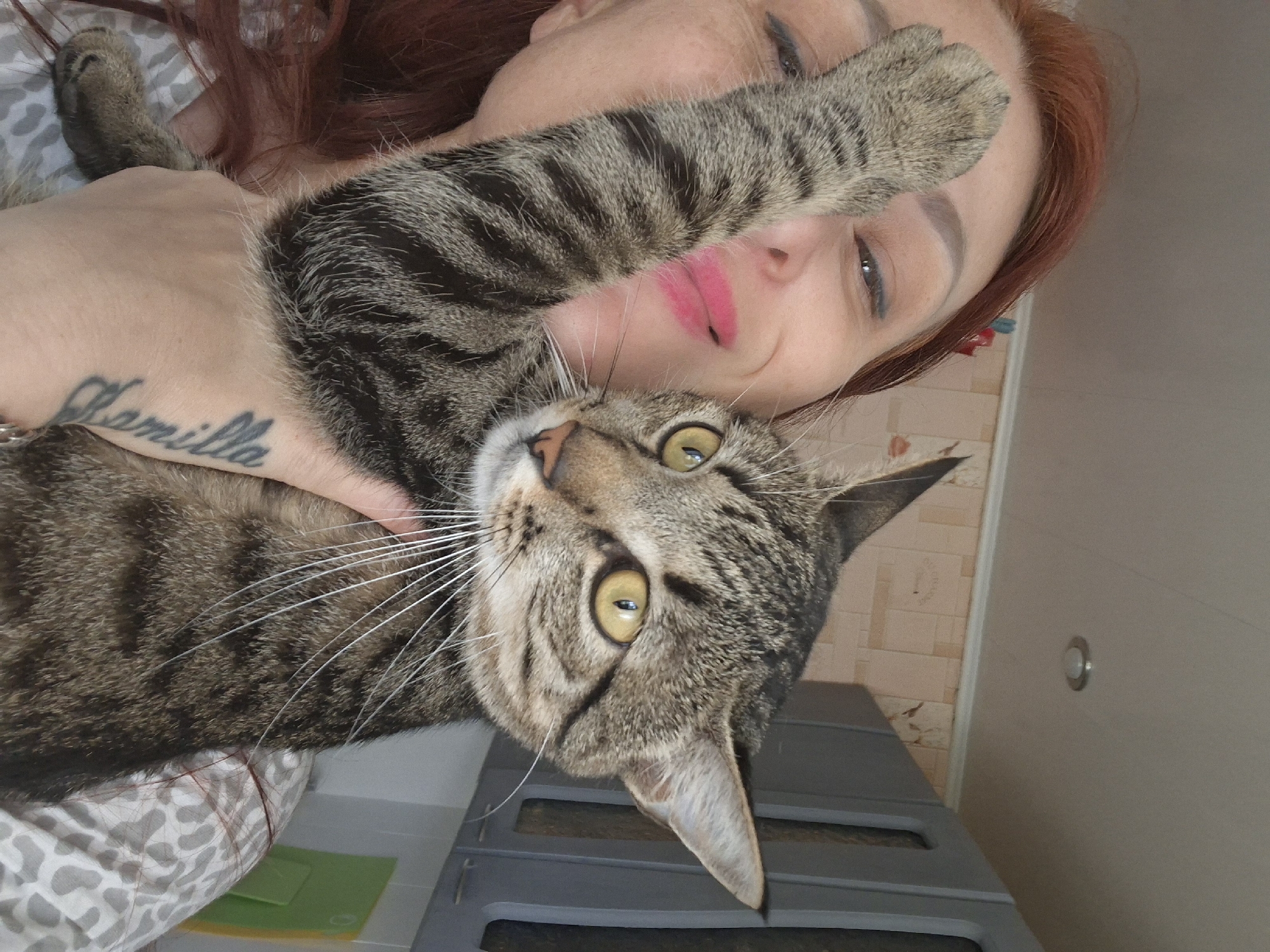 Two dressed-up cats at home in Myadzyel, Belarus