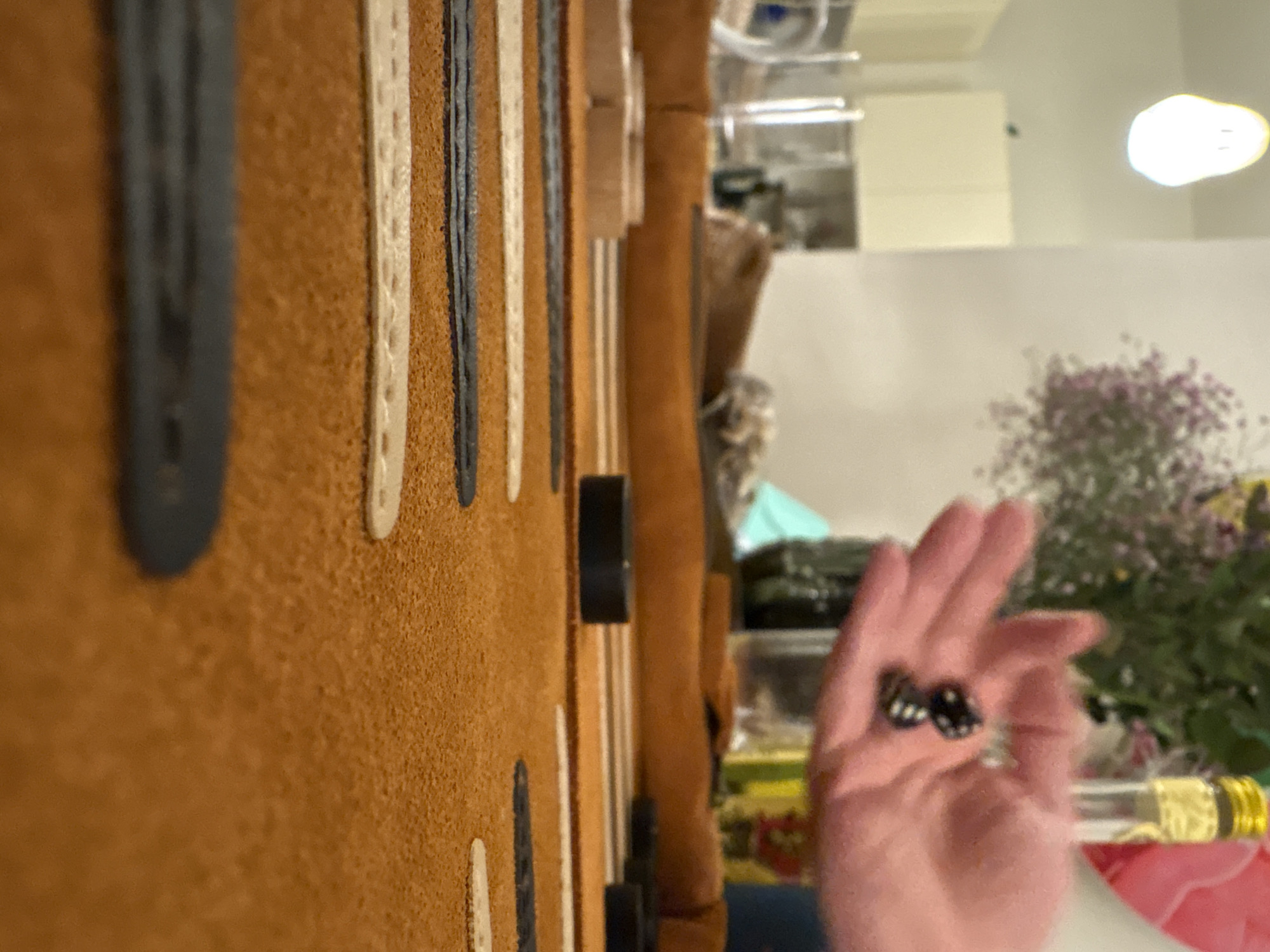 Backgammon game captured in progress in Tel Aviv