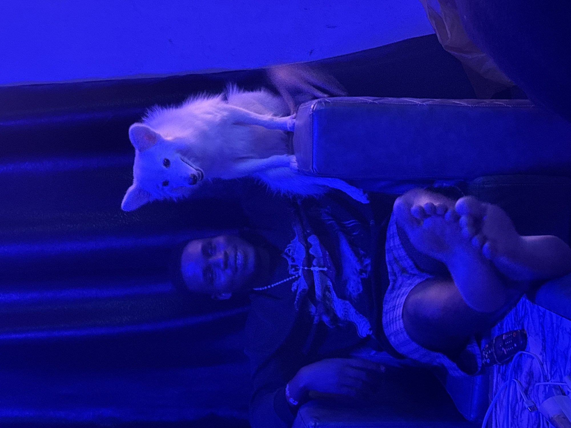 Person and dog relax indoors in Ikot Ekpene home
