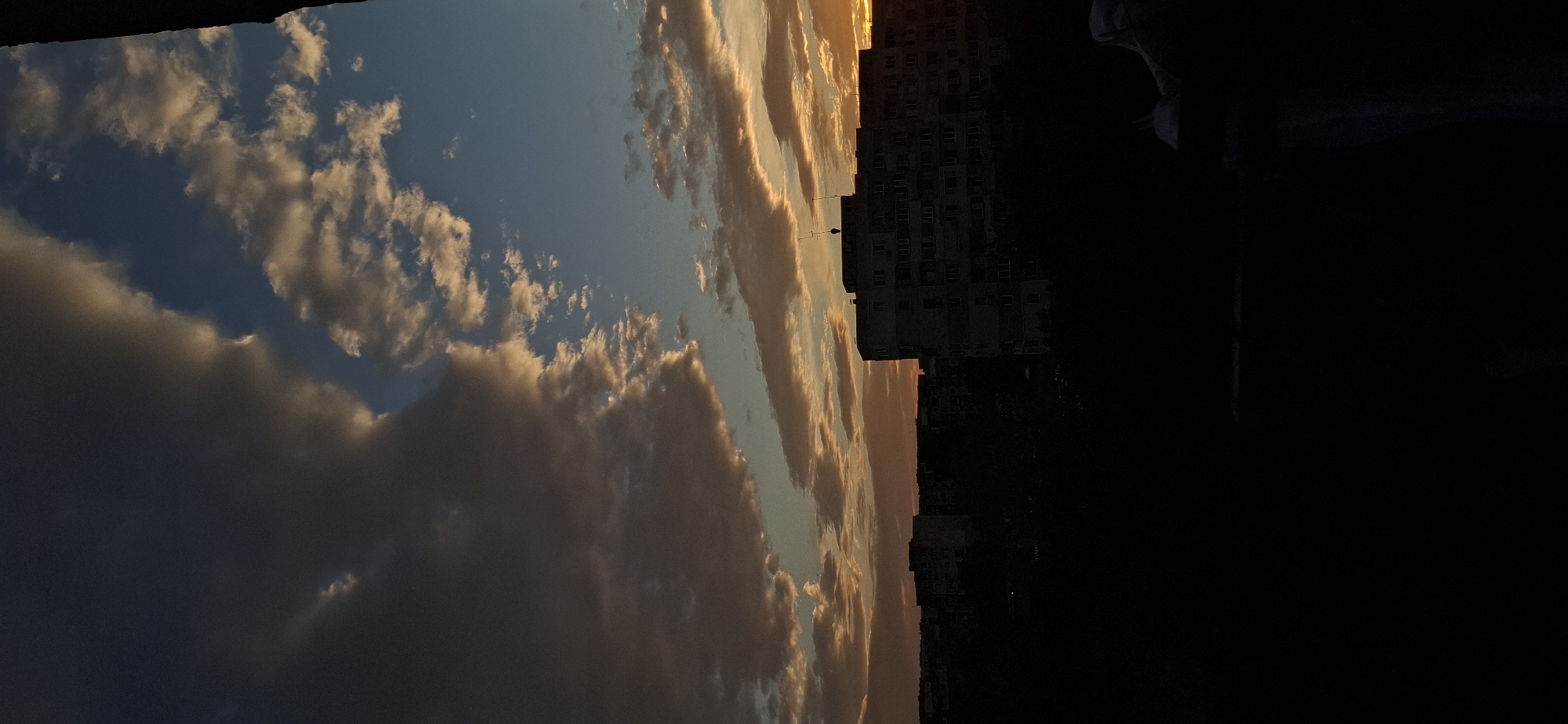 Sofia sunset skyline with a cactus flower blooming close by