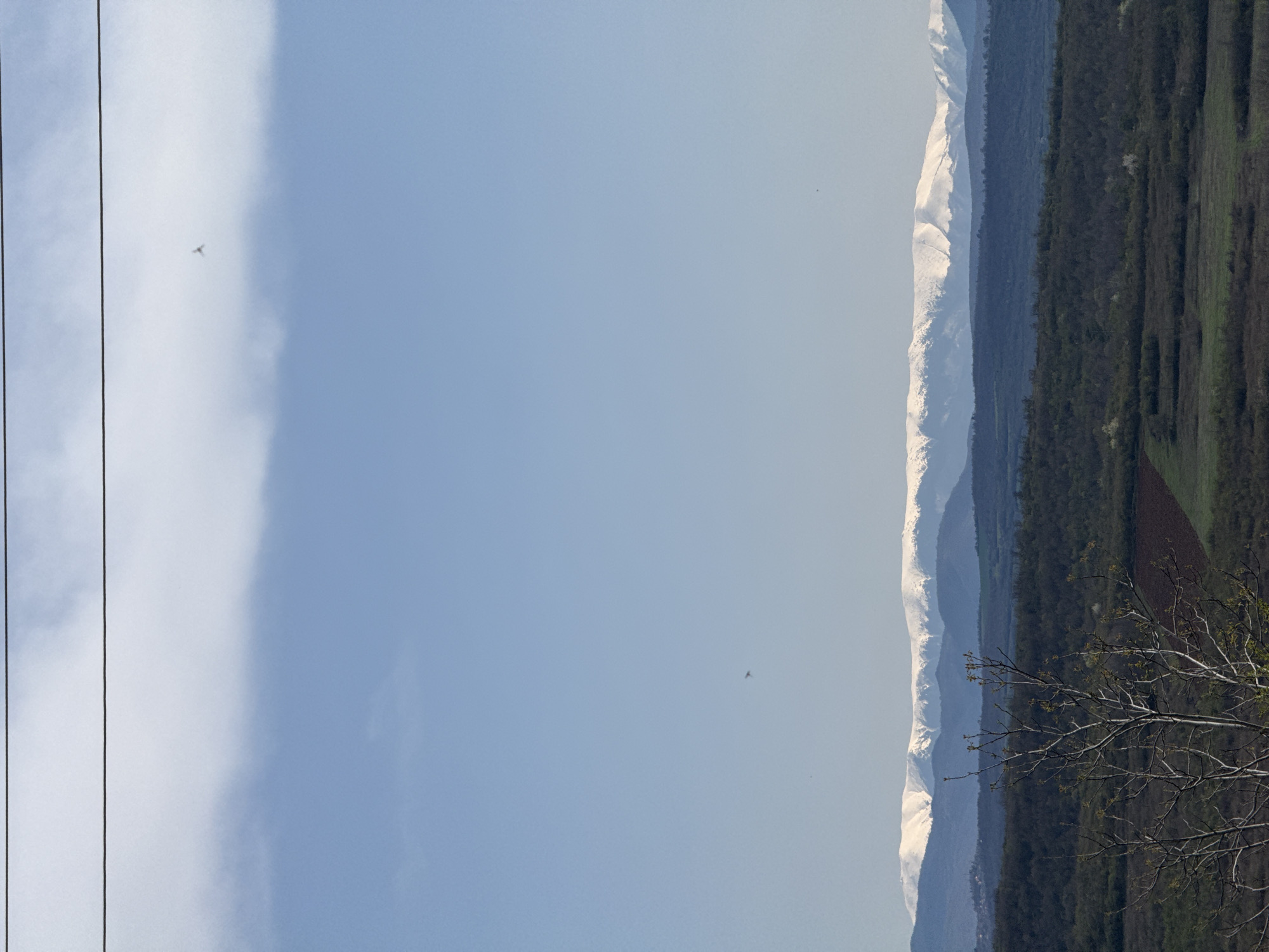 Rural landscape documented near Lukovit, Bulgaria