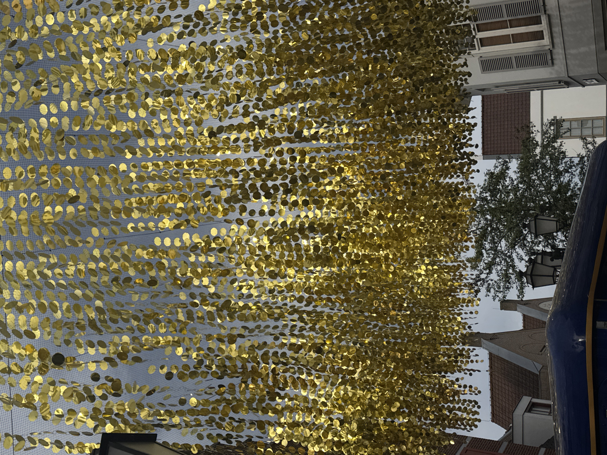 Golden disc art installation adorns Roermond street