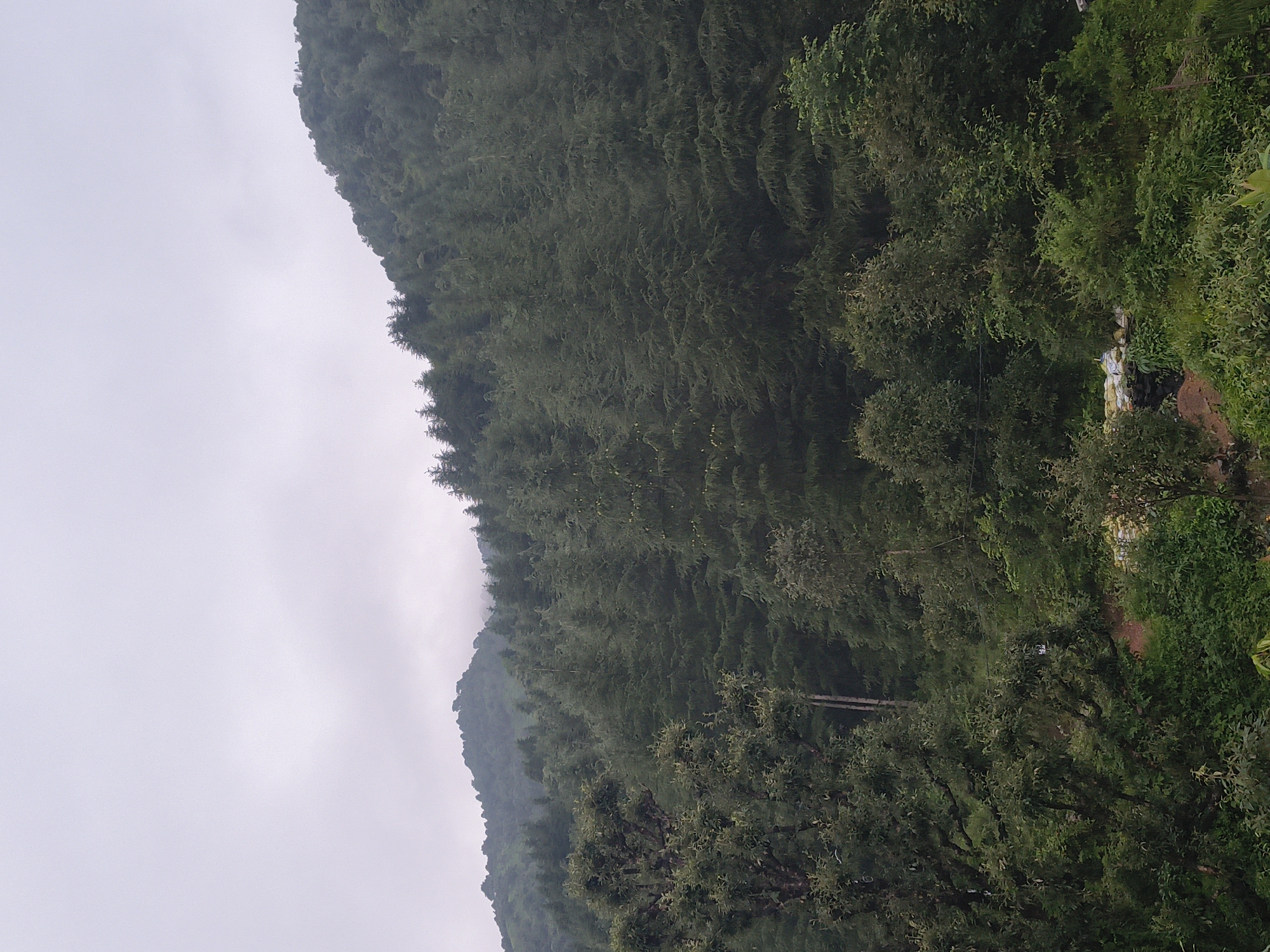 Dharamkot, India