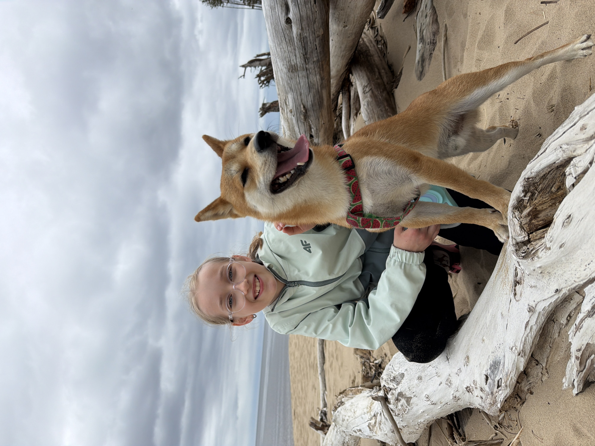Beach photo session with dog captured in Carnikava Latvia