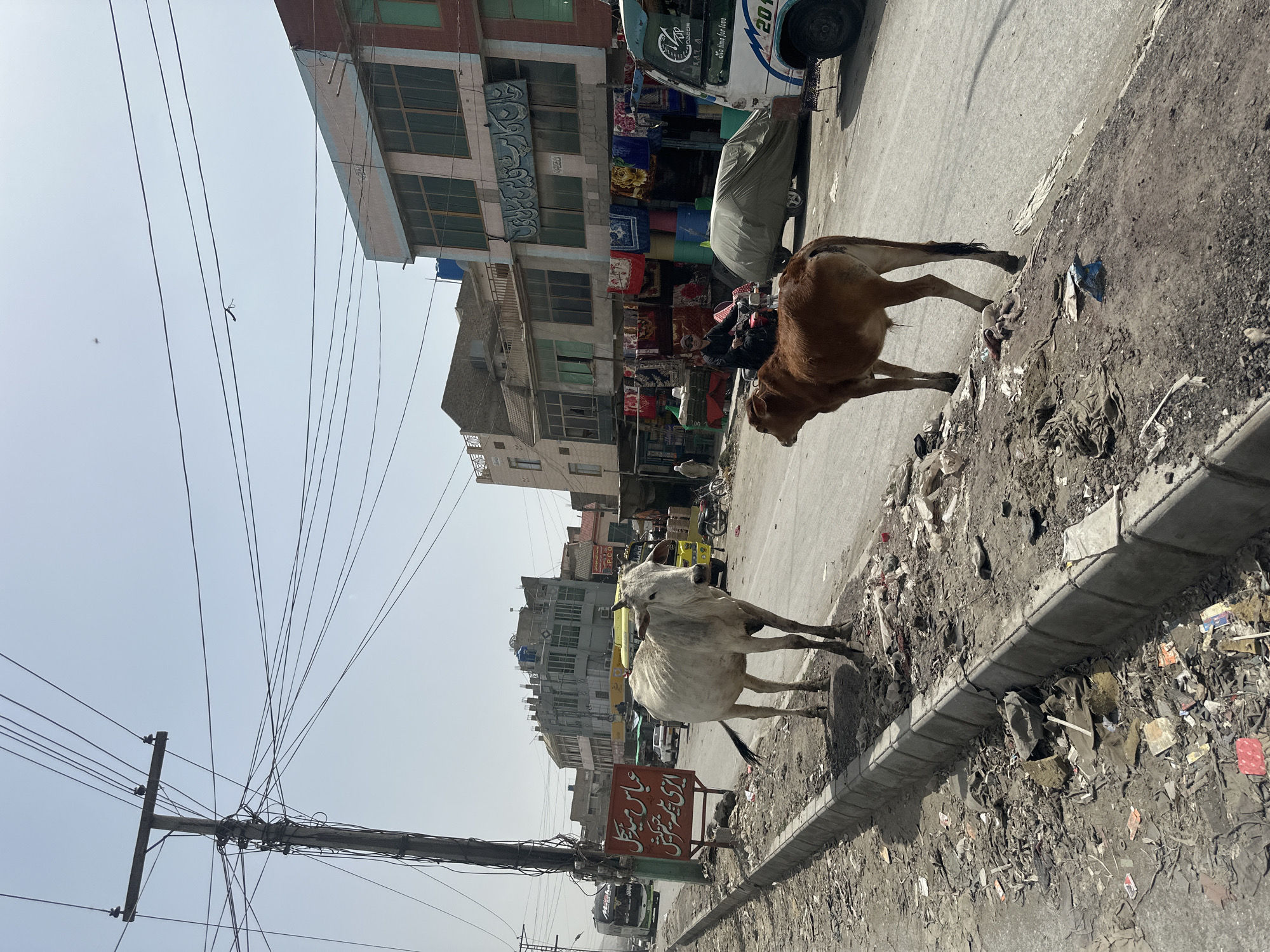 Daily life unfolds in Quetta commercial district