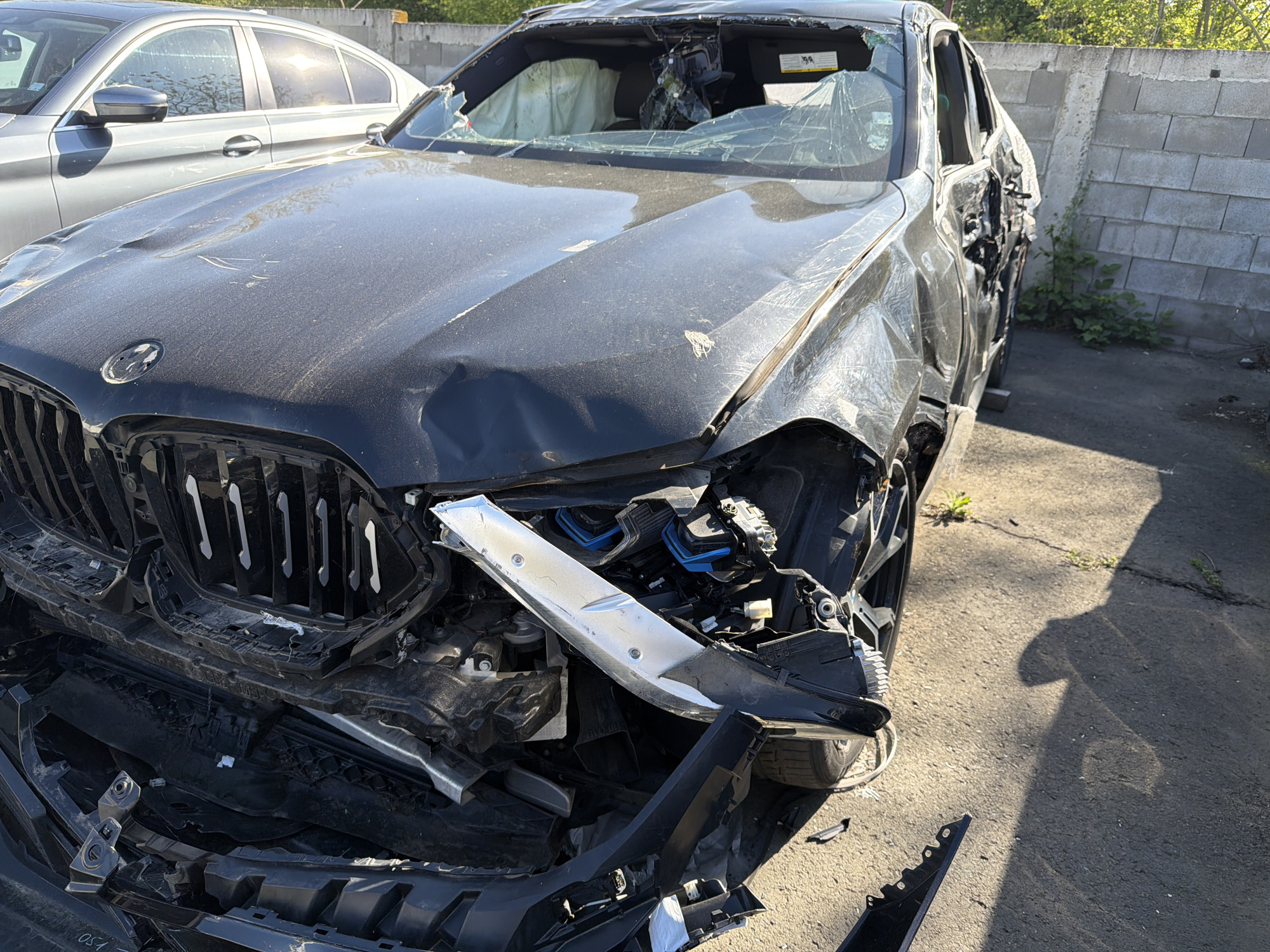 Kittens Found in Damaged BMW at Multi-Vehicle Incident Scene