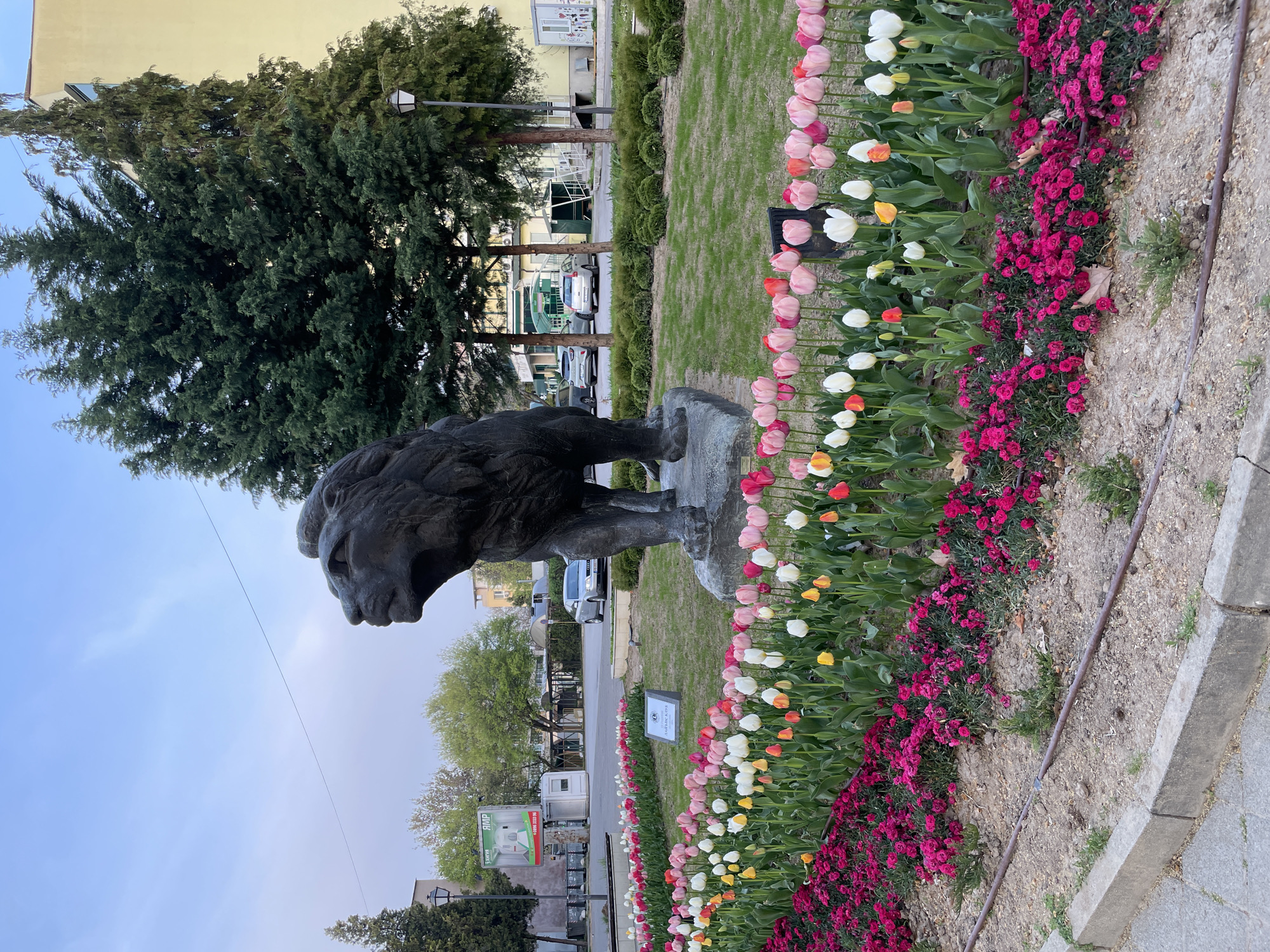 Afternoon scenes captured around Pazardzhik: aircraft, lion statue, puppet theatre