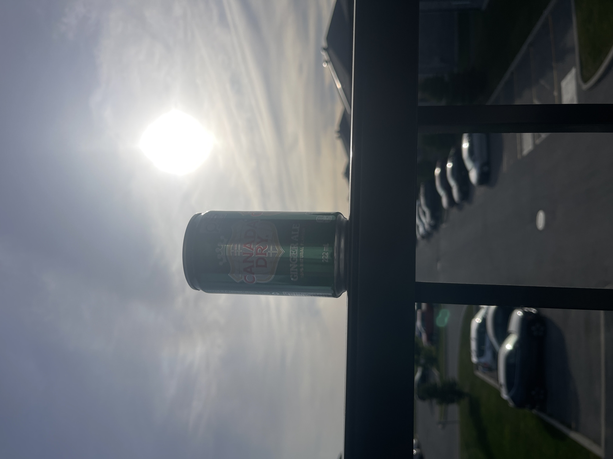 Ginger ale can spotted on railing in Gatineau
