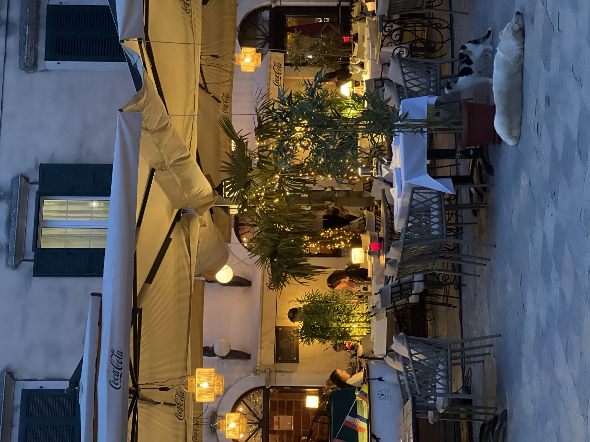 Evening stroll through historic Kotor captures local shops and architecture