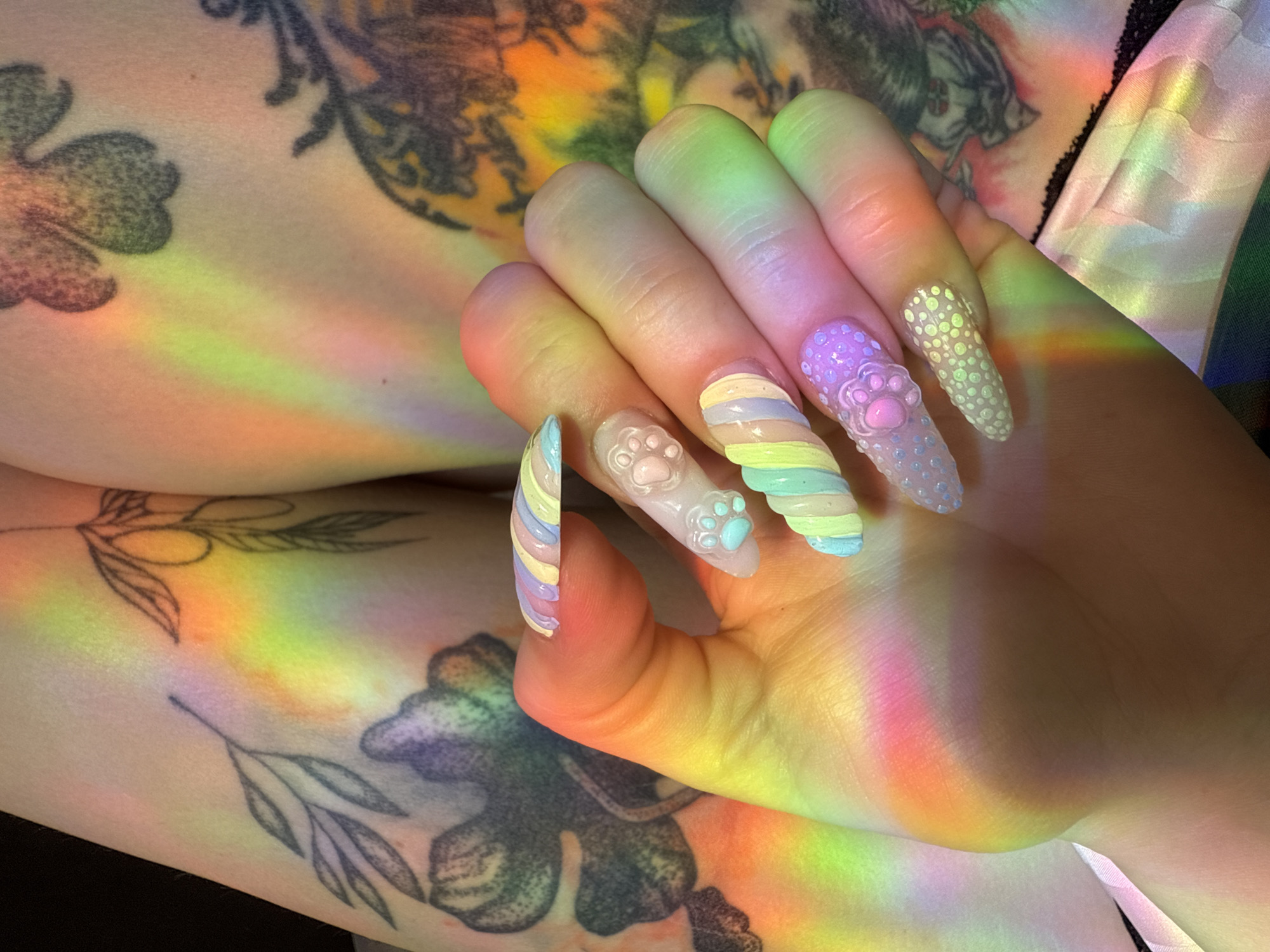 Pugs bask in rainbow light during quiet domestic moment