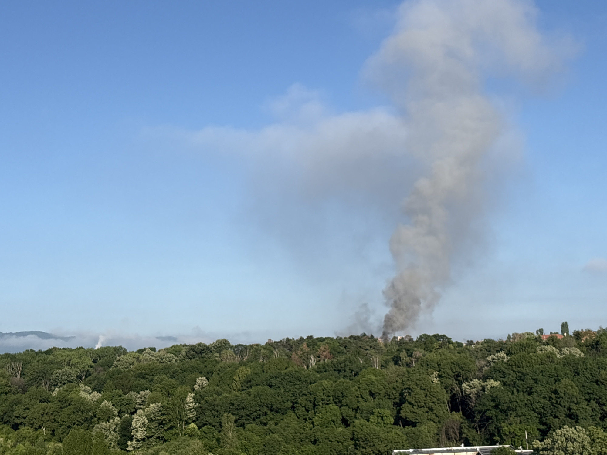 Dark smoke plume observed over Sofia forest area