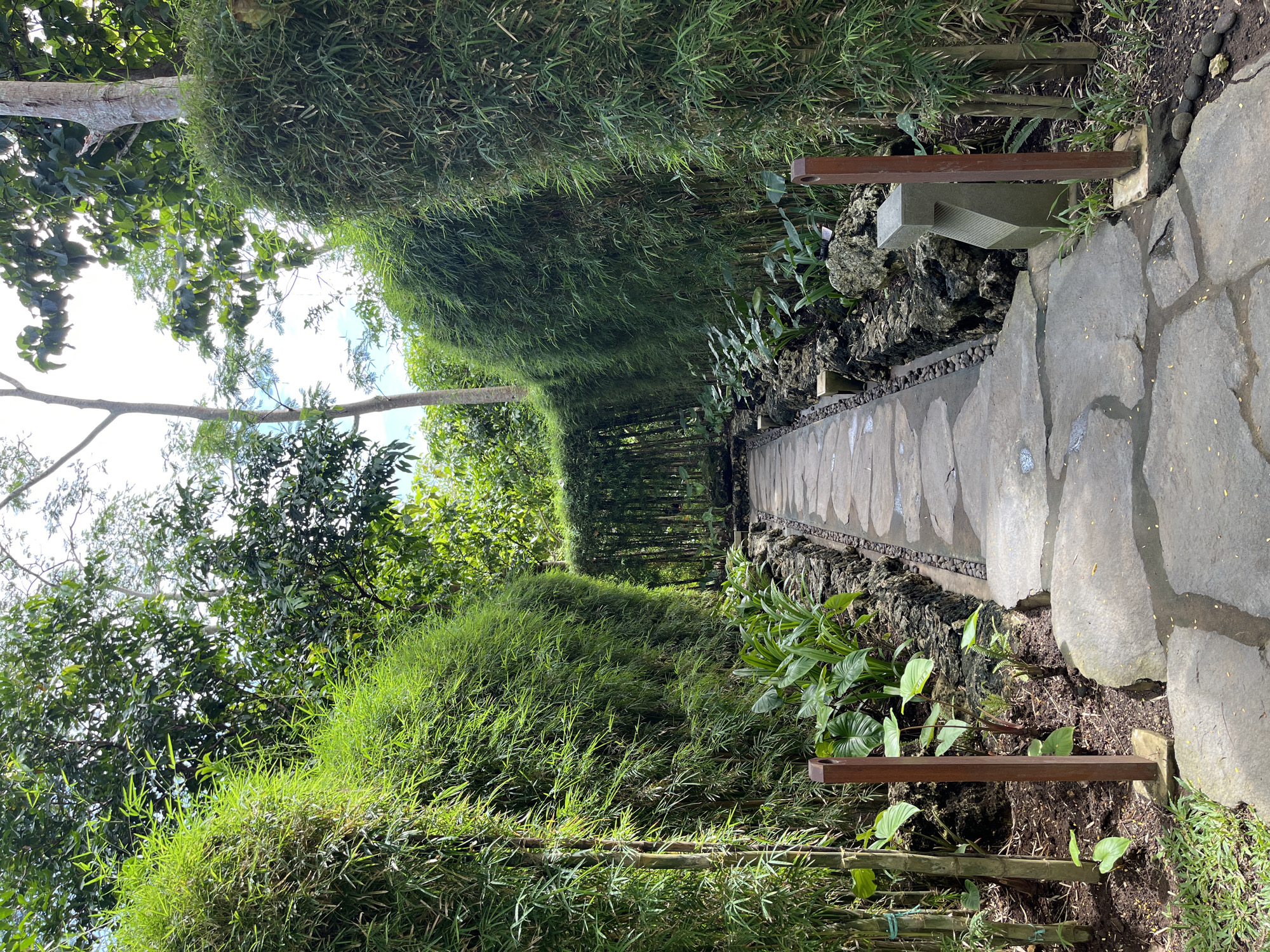 Morning stroll documented at Tevana Garden in Bali