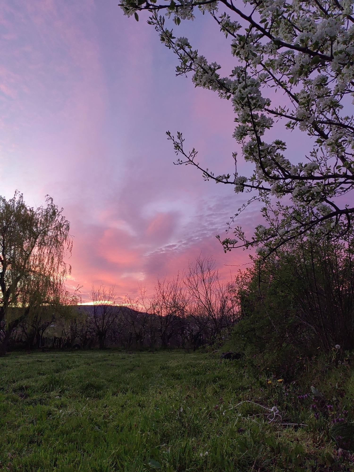 Countryside scene photographed at dusk in Dragijevo, Bulgaria