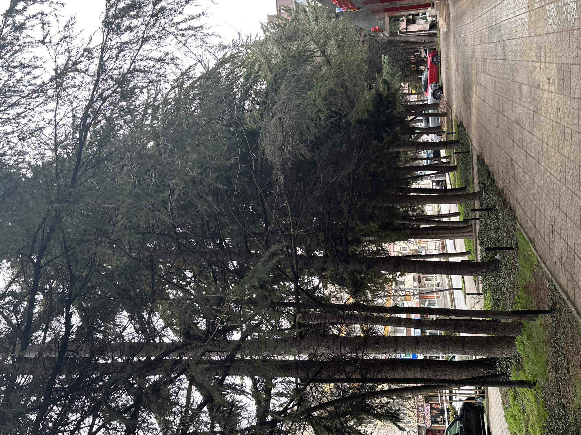 Street scenes documented in Stara Zagora, Bulgaria
