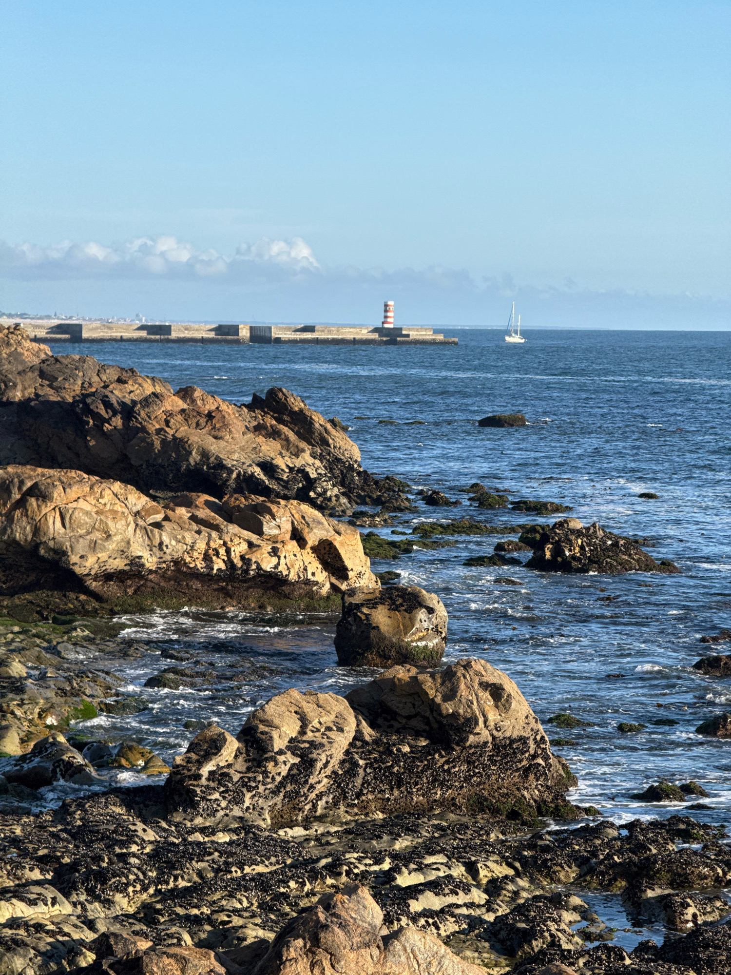 Sun and sea along Porto's rocky Atlantic coast