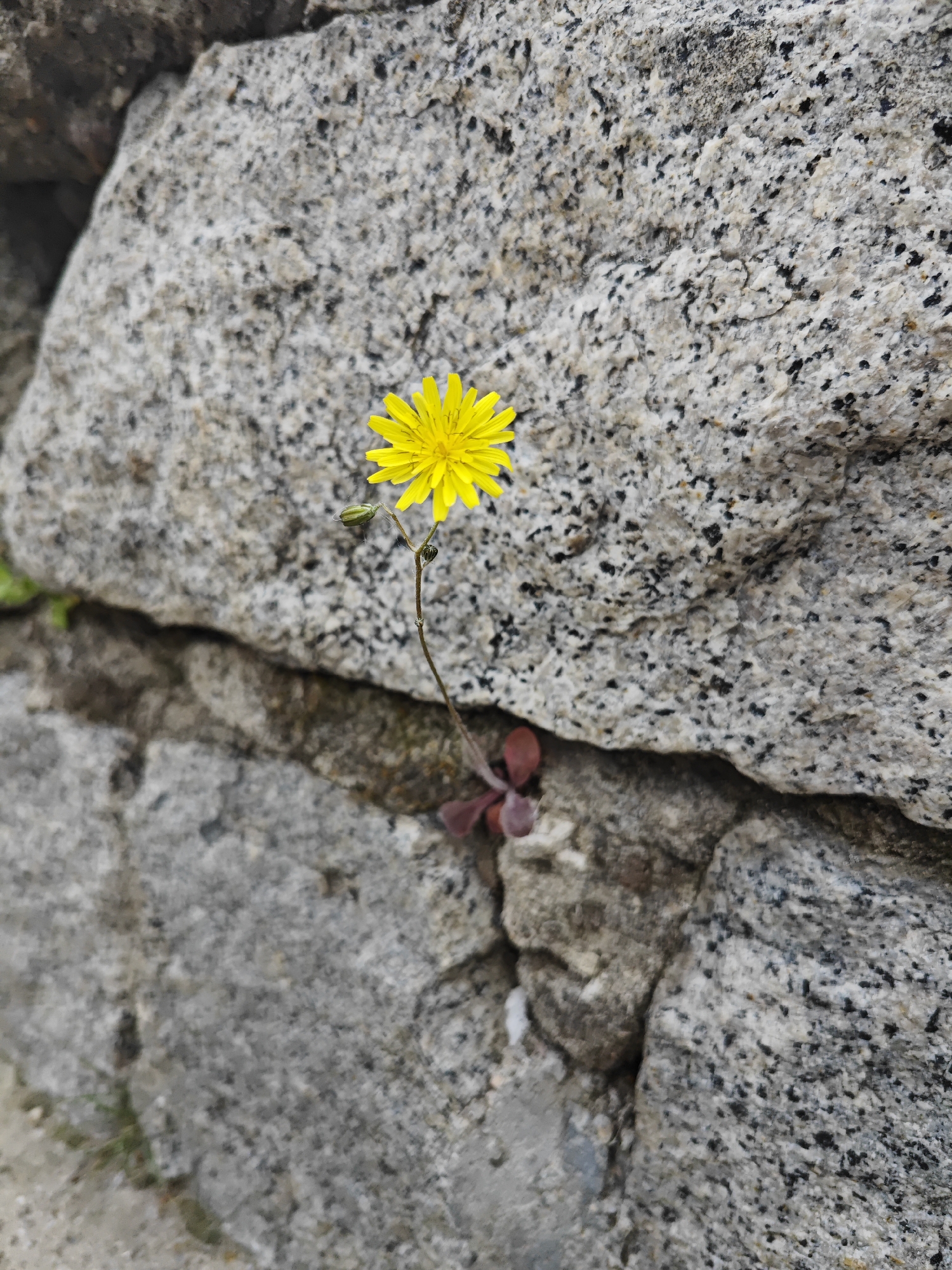 Urban photographer captures street scenes in Plovdiv, Bulgaria