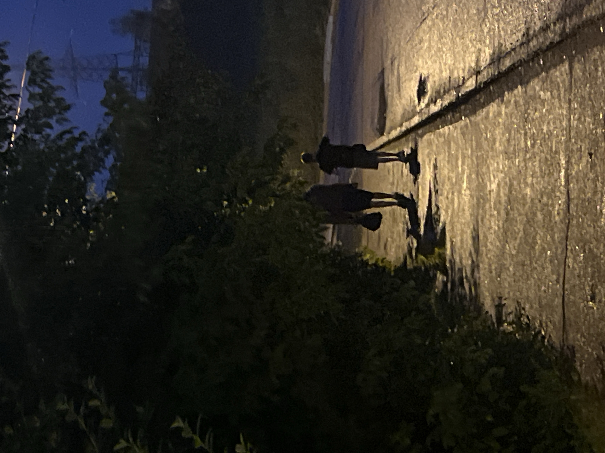 Late evening in Divnogorsk: wet streets, pines, and dim light